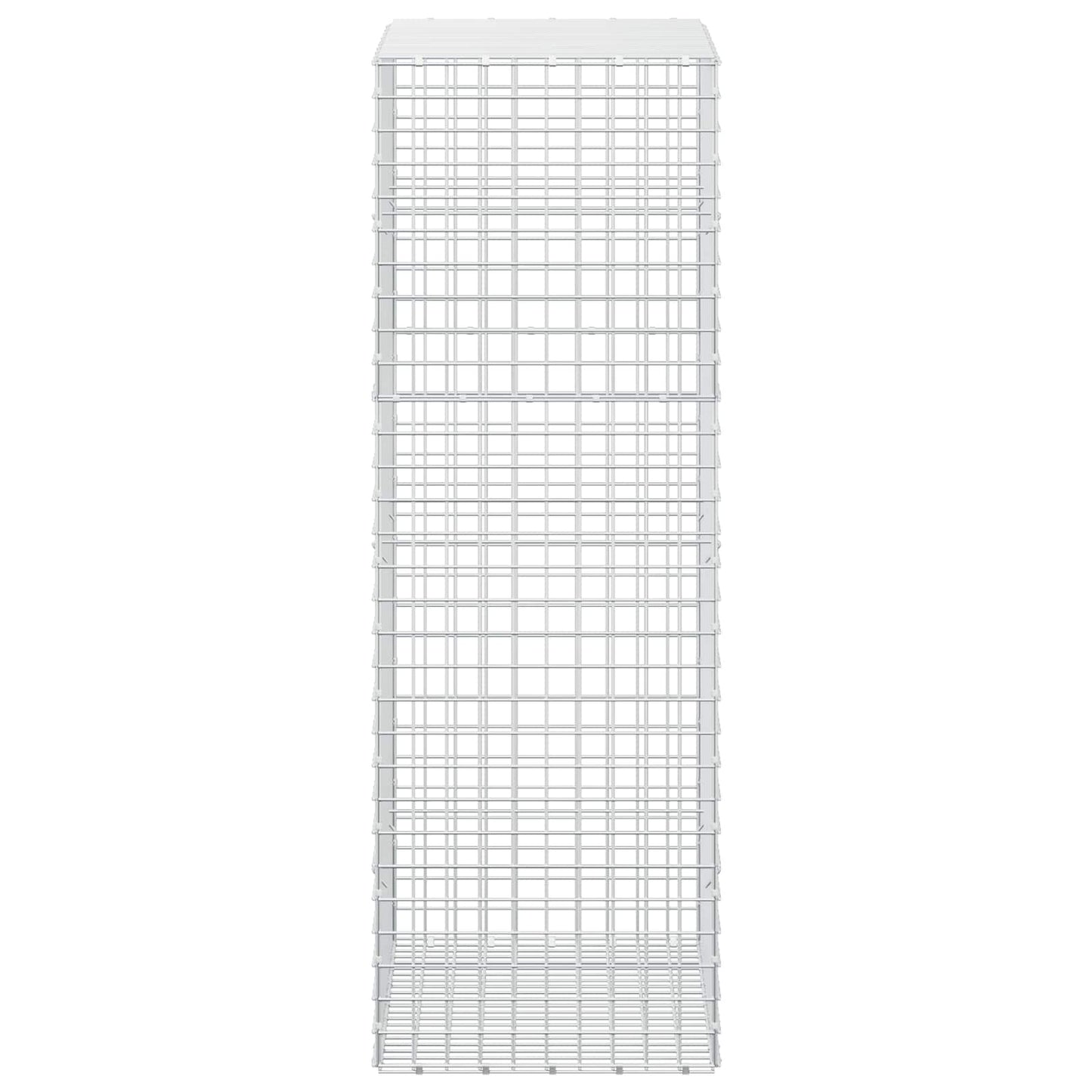 vidaXL Γκαμπιόν με σύρμα 5 mm και πλέγμα 5x5 cm 100x50x150 εκ
