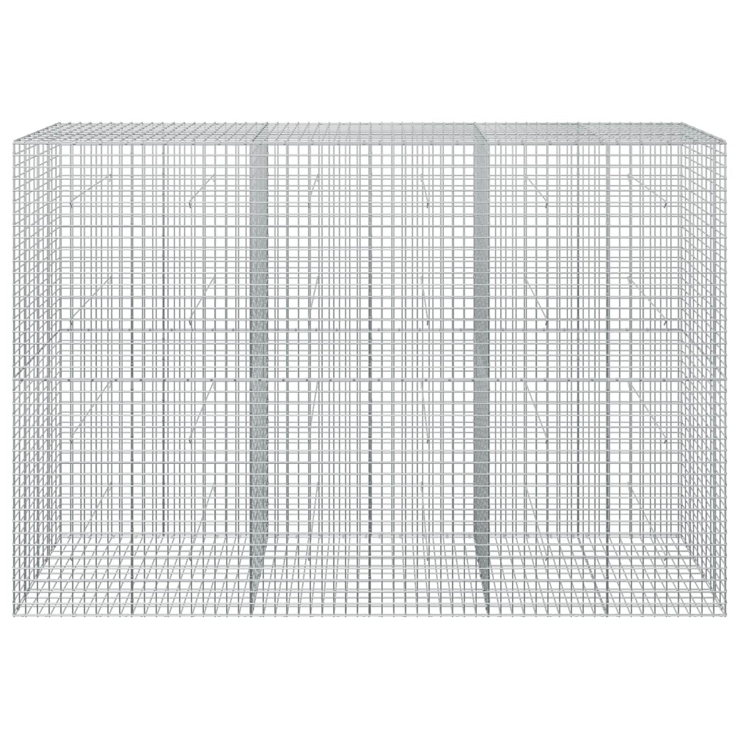 vidaXL Γκαμπιόν με σύρμα 5 mm και πλέγμα 5x5 cm 300x50x200 εκ