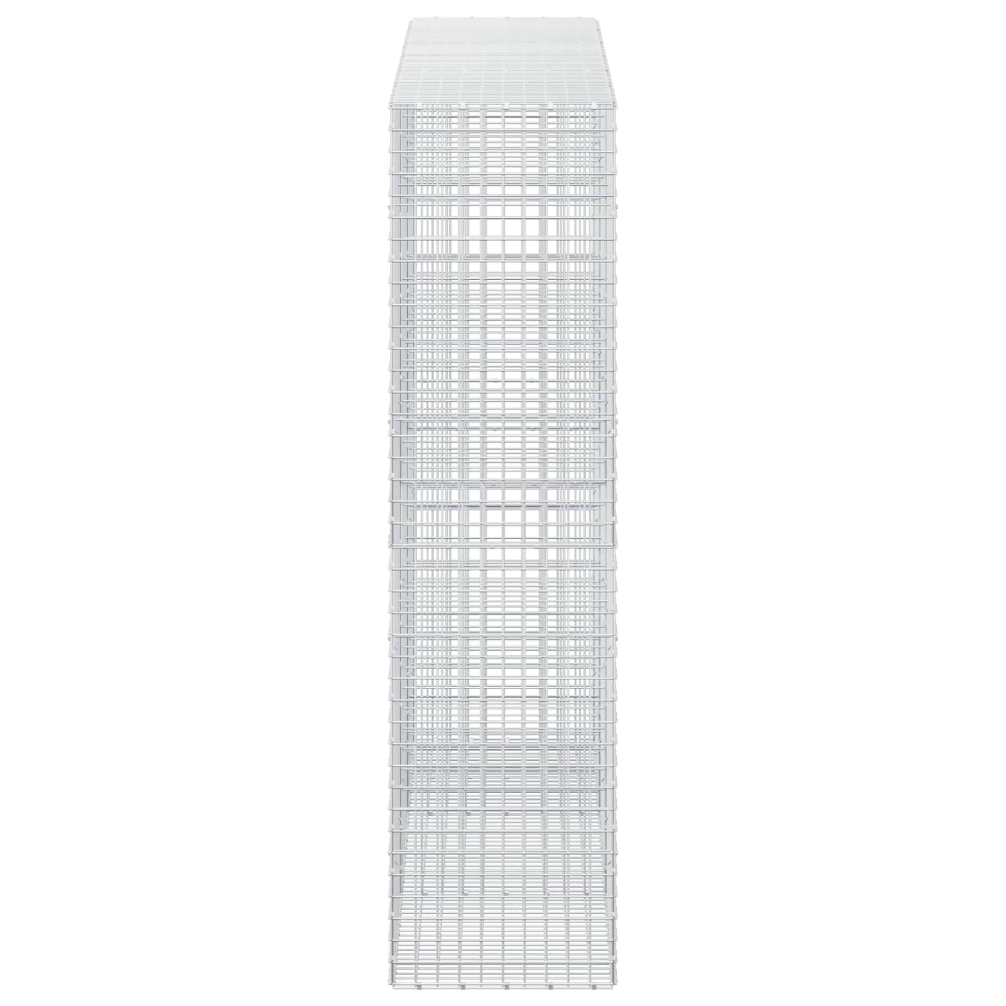 vidaXL Γκαμπιόν με σύρμα 5 mm και πλέγμα 5x5 cm 300x50x200 εκ