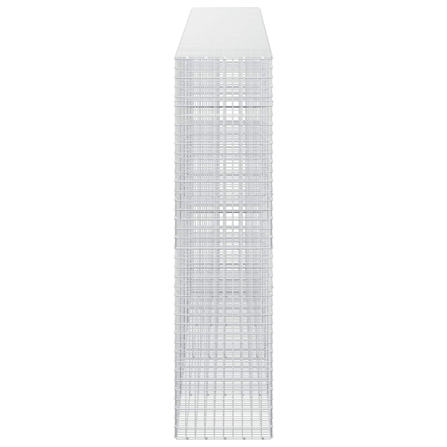 vidaXL Γκαμπιόν με σύρμα 5 mm και πλέγμα 5x5 cm 500x50x200 εκ