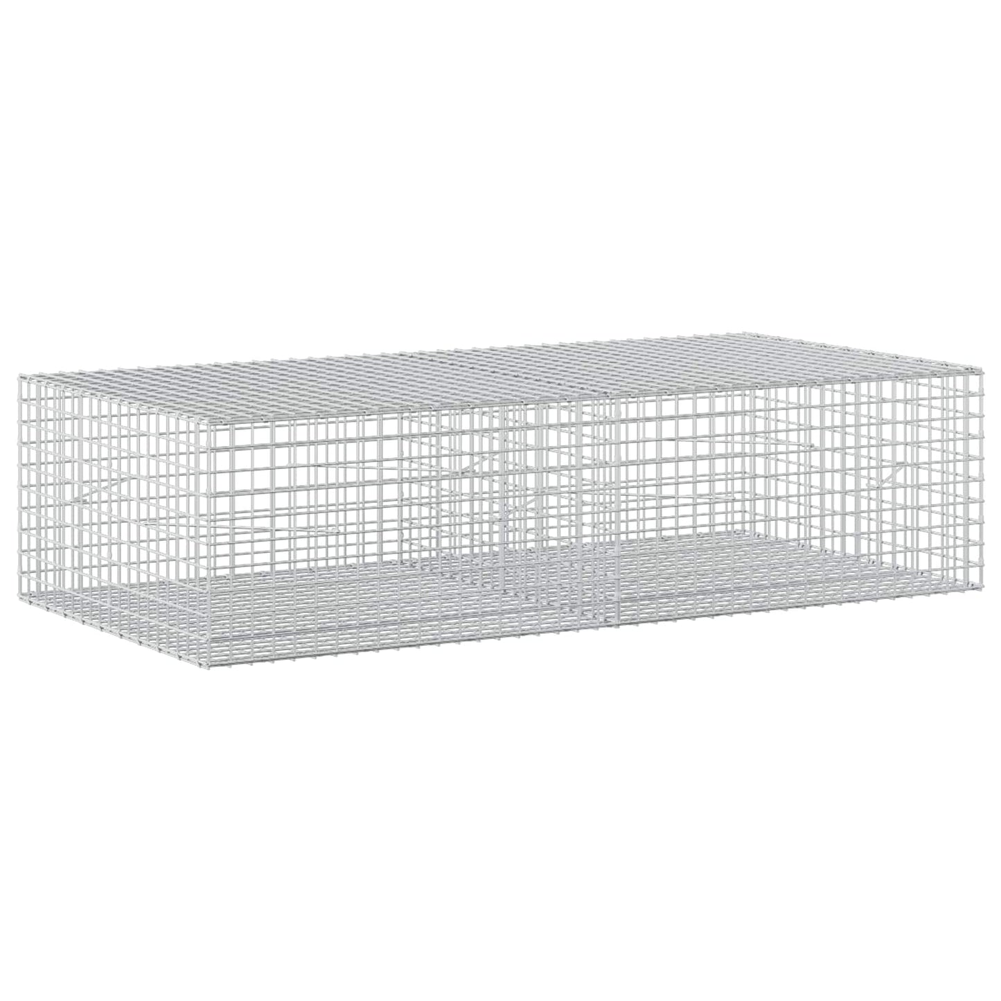 vidaXL Γκαμπιόν με σύρμα 5 mm και πλέγμα 5x5 cm 200x100x50 εκ