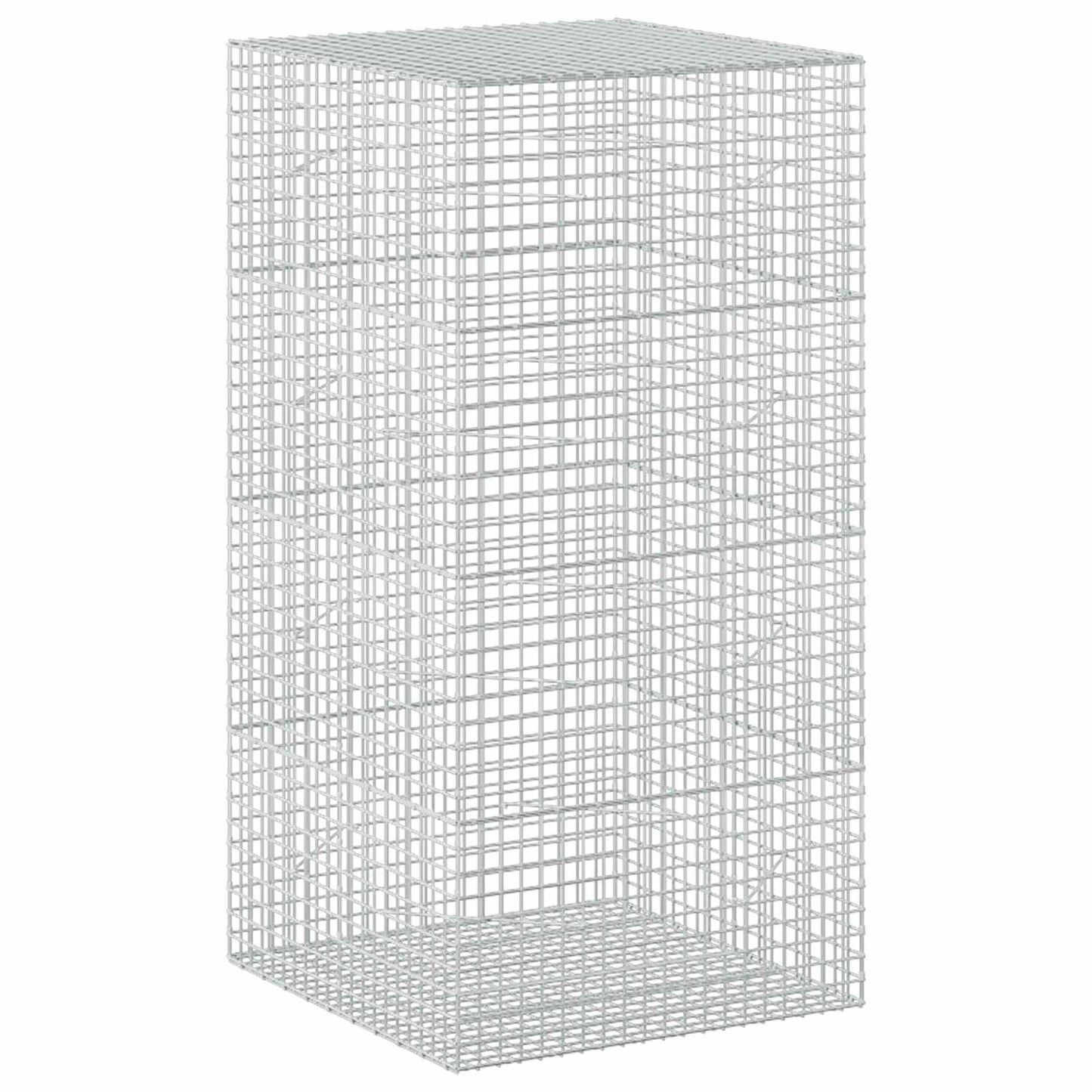 vidaXL Γκαμπιόν με σύρμα 5 mm και πλέγμα 5x5 cm 100x100x200 εκ