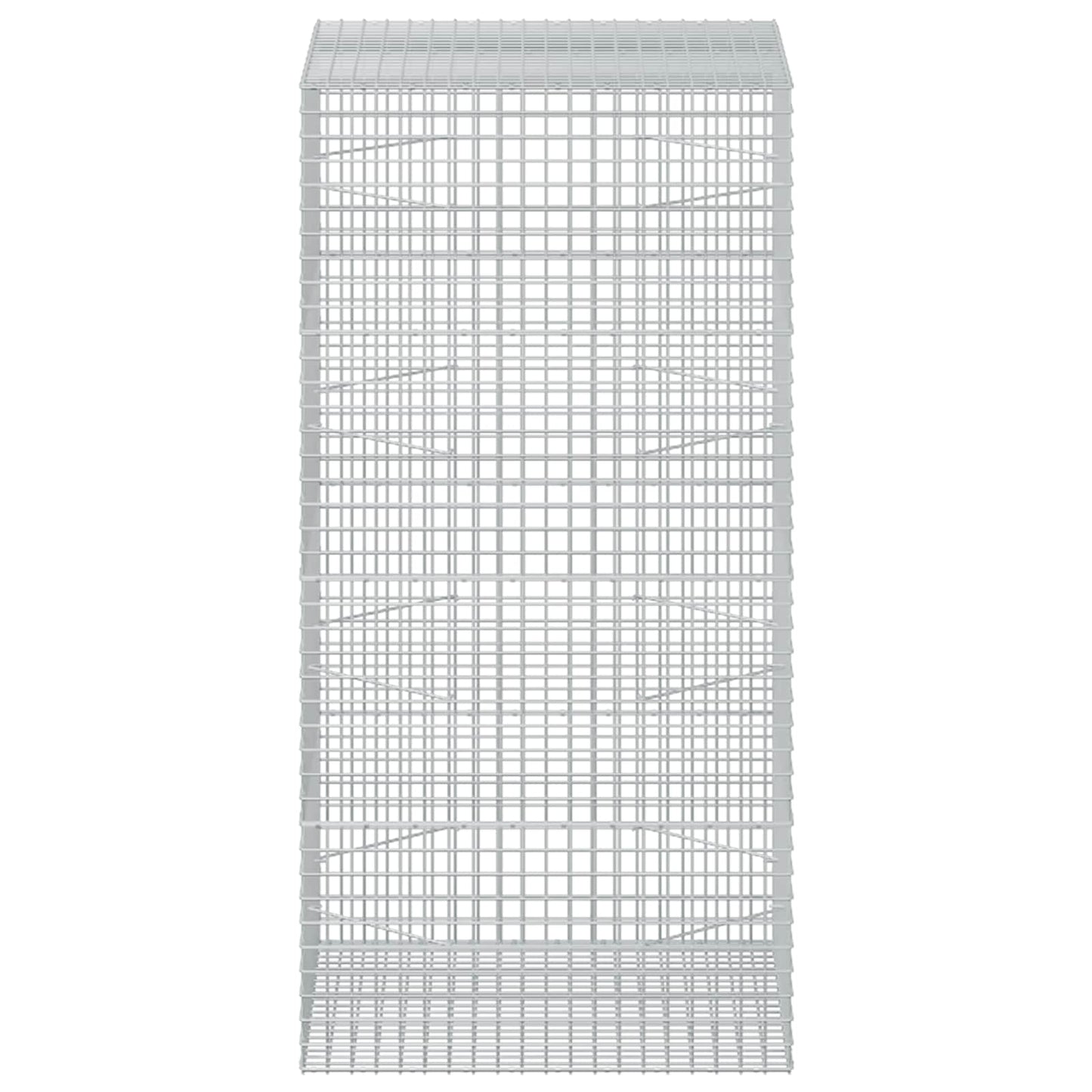 vidaXL Γκαμπιόν με σύρμα 5 mm και πλέγμα 5x5 cm 100x100x200 εκ