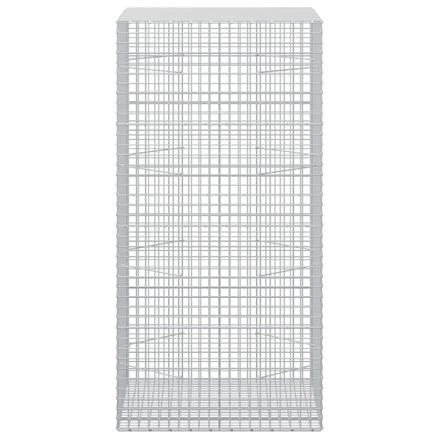 vidaXL Γκαμπιόν με σύρμα 5 mm και πλέγμα 5x5 cm 100x100x200 εκ
