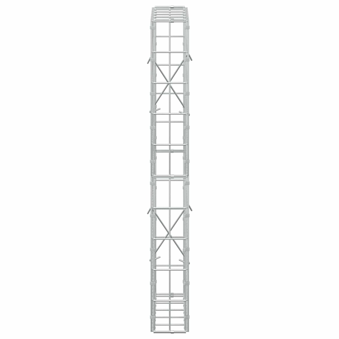 vidaXL Γκαμπιόν με σύρμα 5 mm και πλέγμα 5x10 cm 50x10x100 εκ