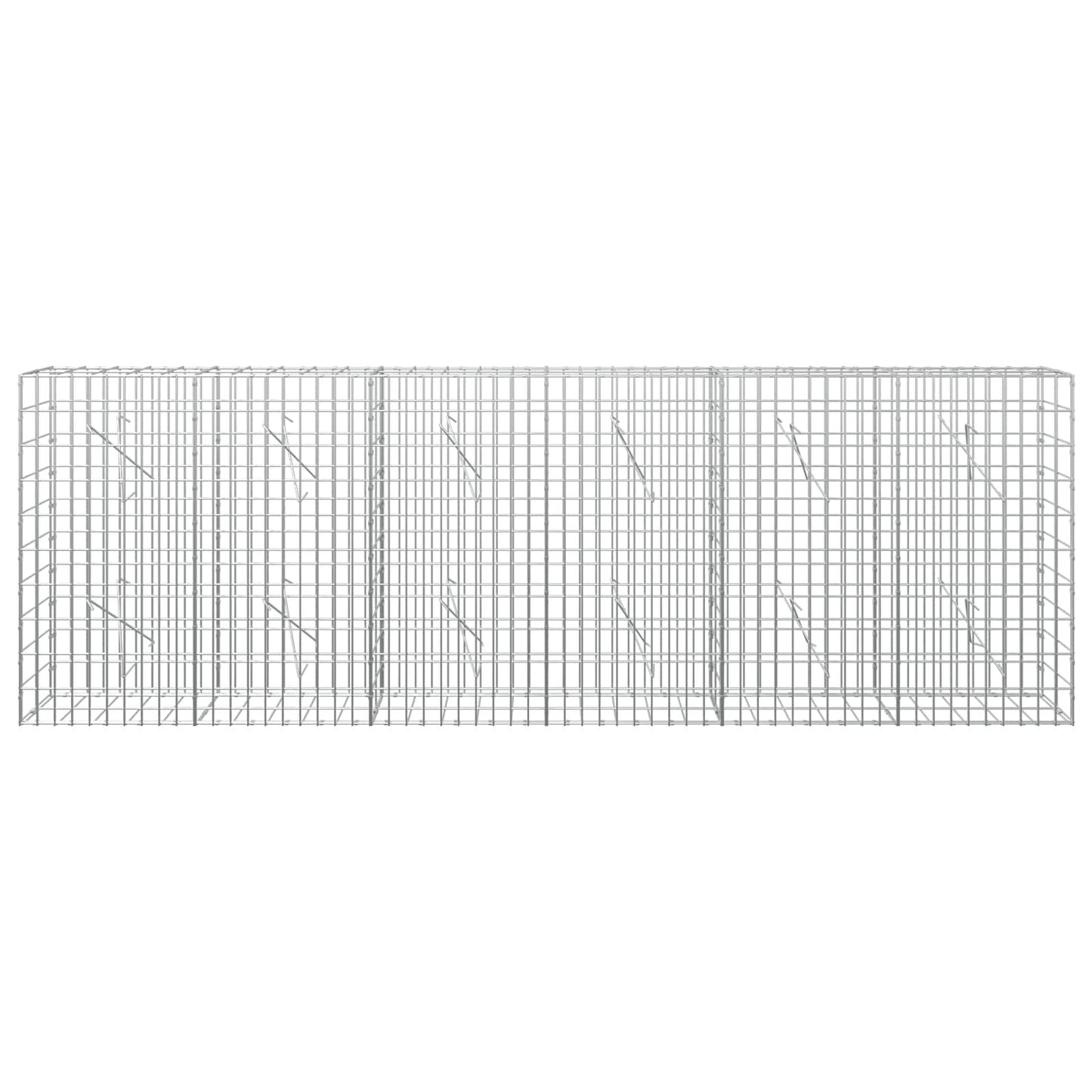 vidaXL Γκαμπιόν με σύρμα 5 mm και πλέγμα 5x10 cm 300x10x100 εκ