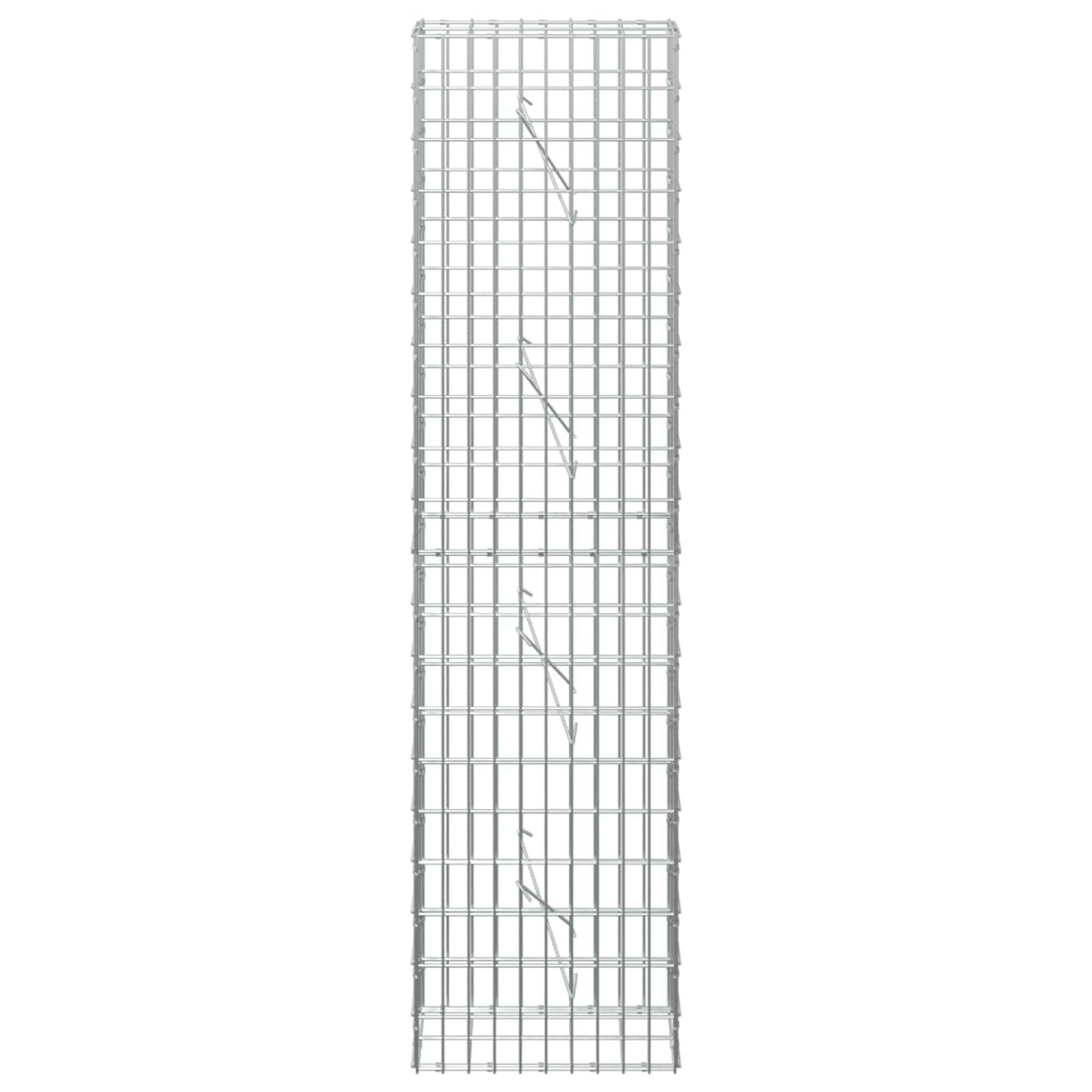 vidaXL Γκαμπιόν με σύρμα 5 mm και πλέγμα 5x10 cm 50x10x200 εκ