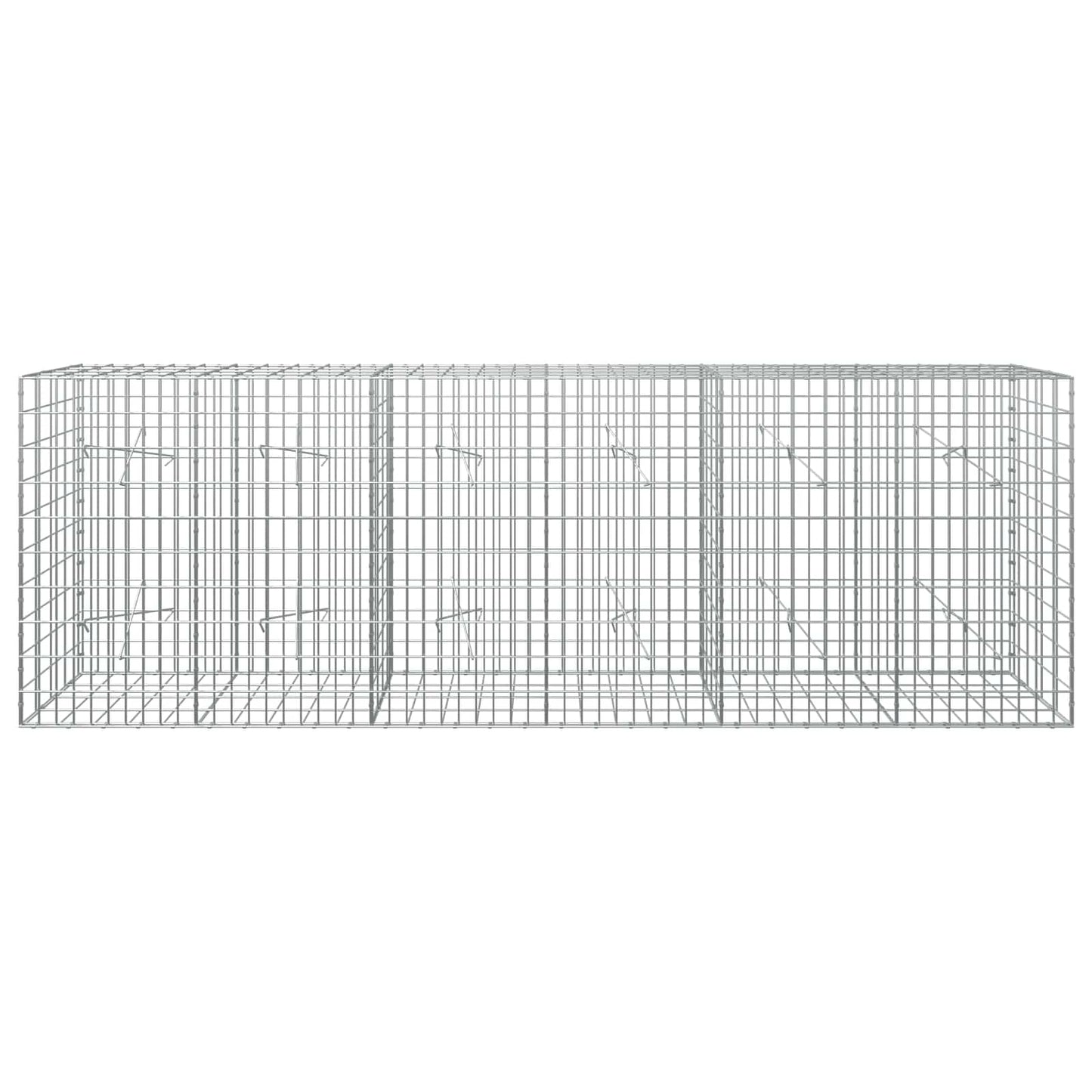 vidaXL Γκαμπιόν με σύρμα 5 mm και πλέγμα 5x10 cm 300x20x100 εκ