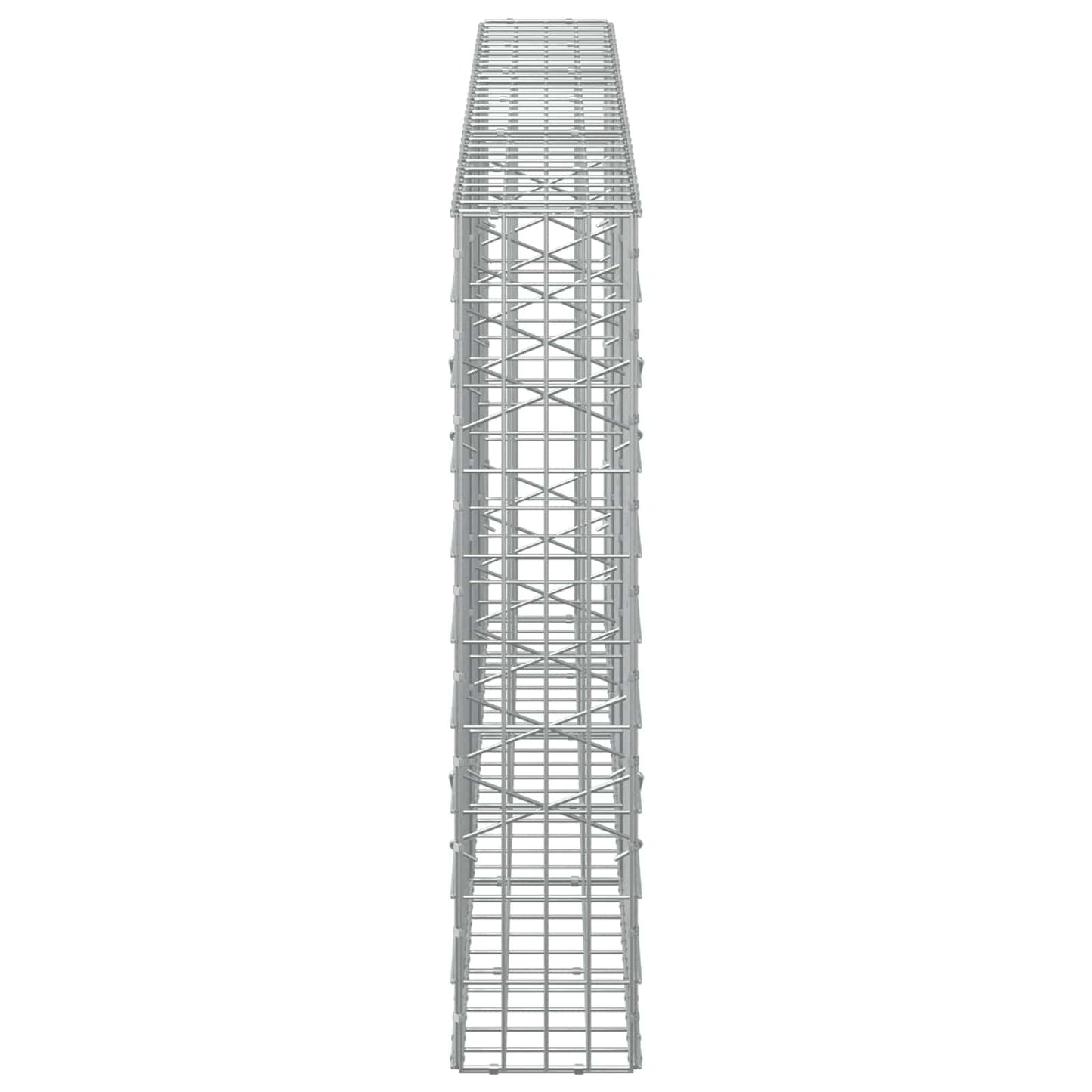 vidaXL Γκαμπιόν με σύρμα 5 mm και πλέγμα 5x10 cm 300x20x100 εκ