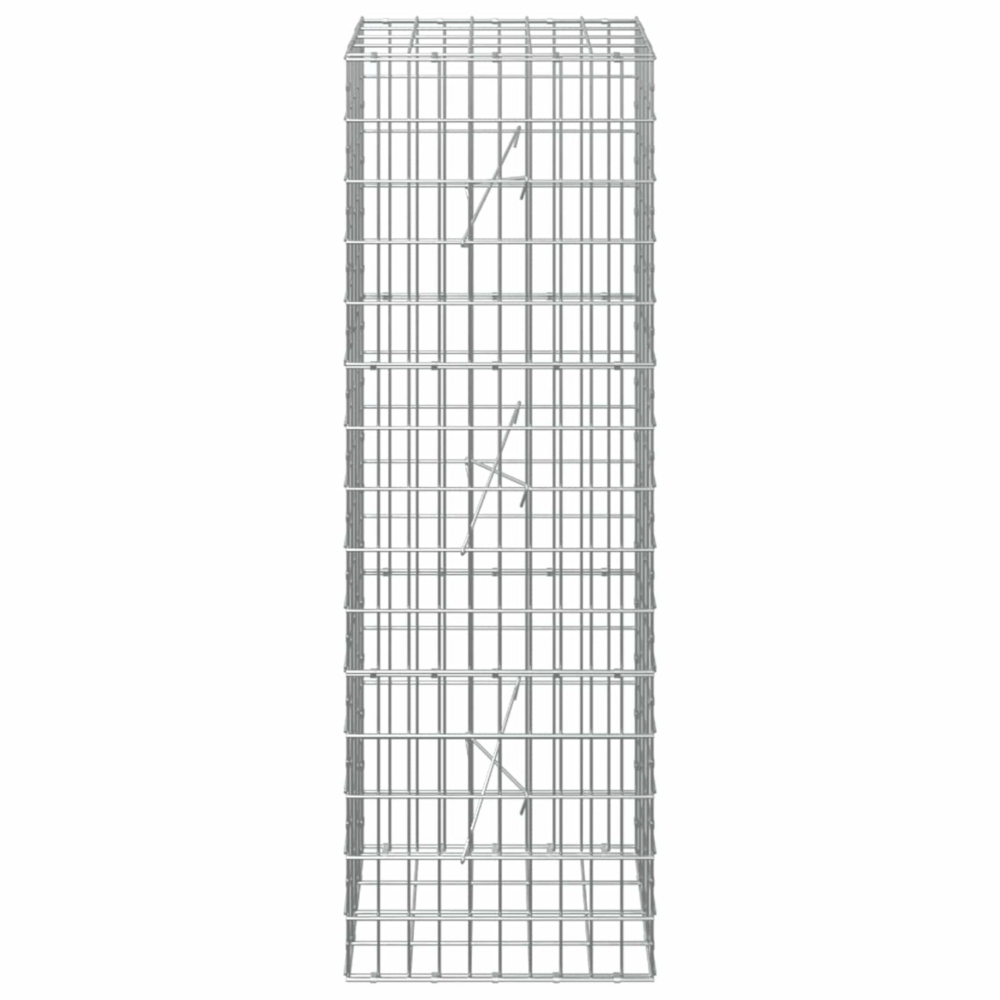 vidaXL Γκαμπιόν με σύρμα 5 mm και πλέγμα 5x10 cm 50x20x150 εκ.