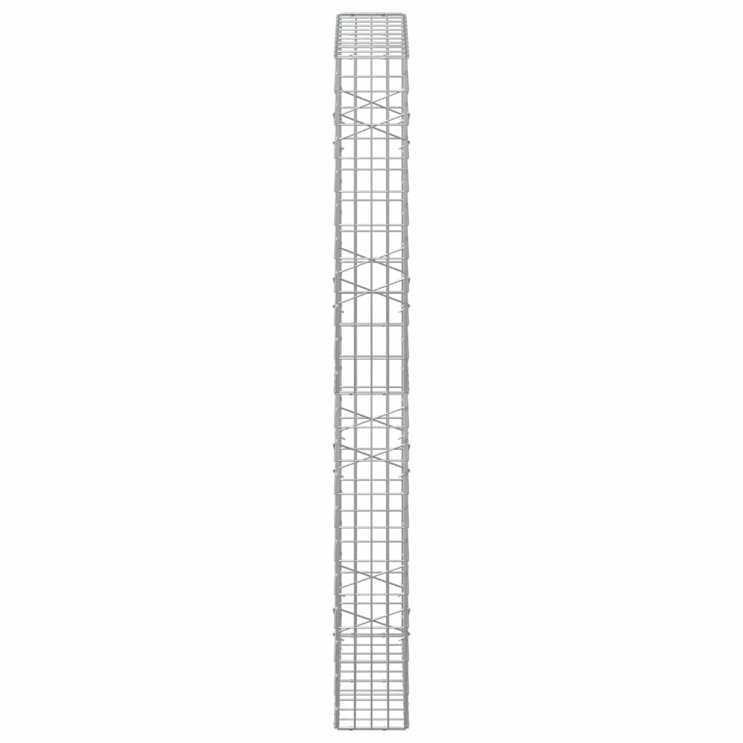 vidaXL Γκαμπιόν με σύρμα 5 mm και πλέγμα 5x10 cm 100x20x200 εκ