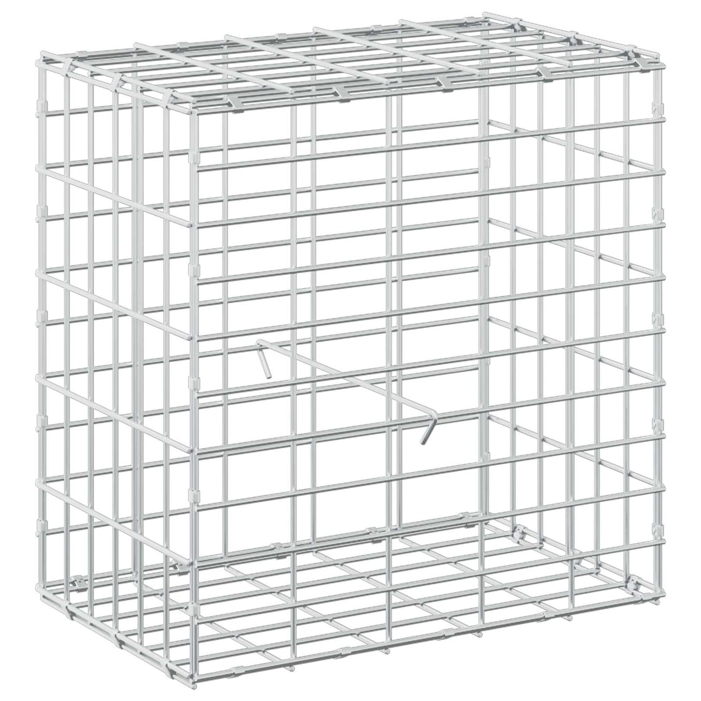 vidaXL Γκαμπιόν με σύρμα 5 mm και πλέγμα 5x10 cm 50x30x50 εκ.