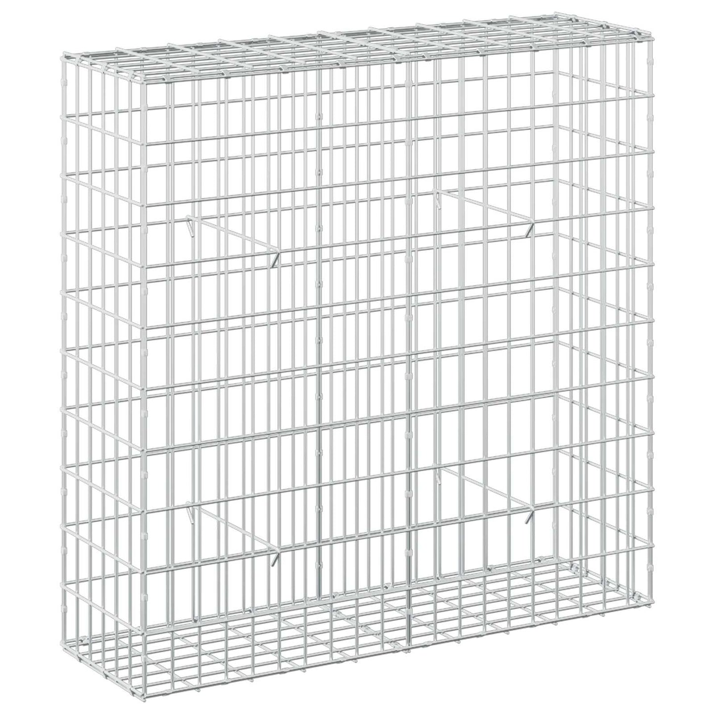 vidaXL Γκαμπιόν με σύρμα 5 mm και πλέγμα 5x10 cm 100x30x100 εκ