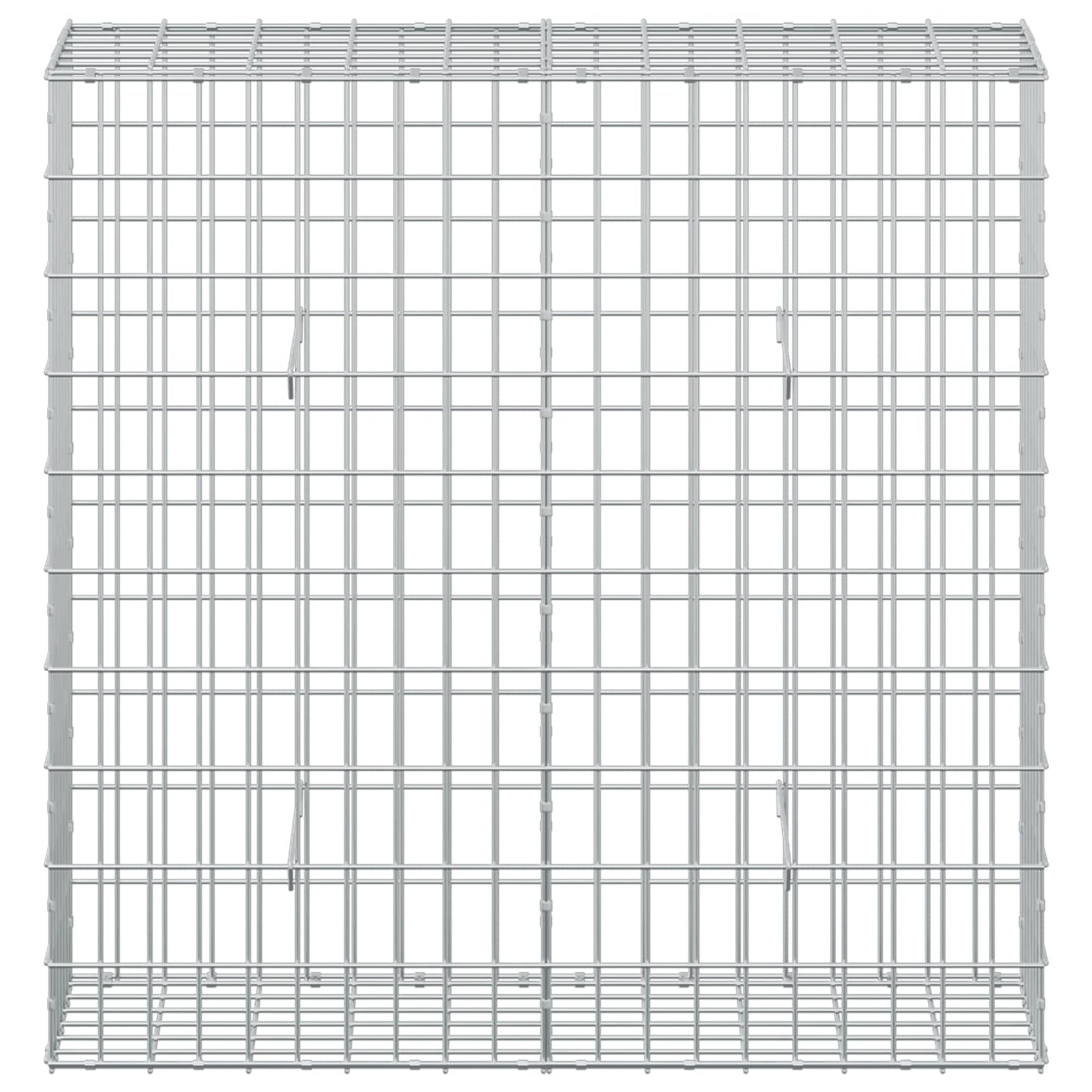 vidaXL Γκαμπιόν με σύρμα 5 mm και πλέγμα 5x10 cm 100x30x100 εκ