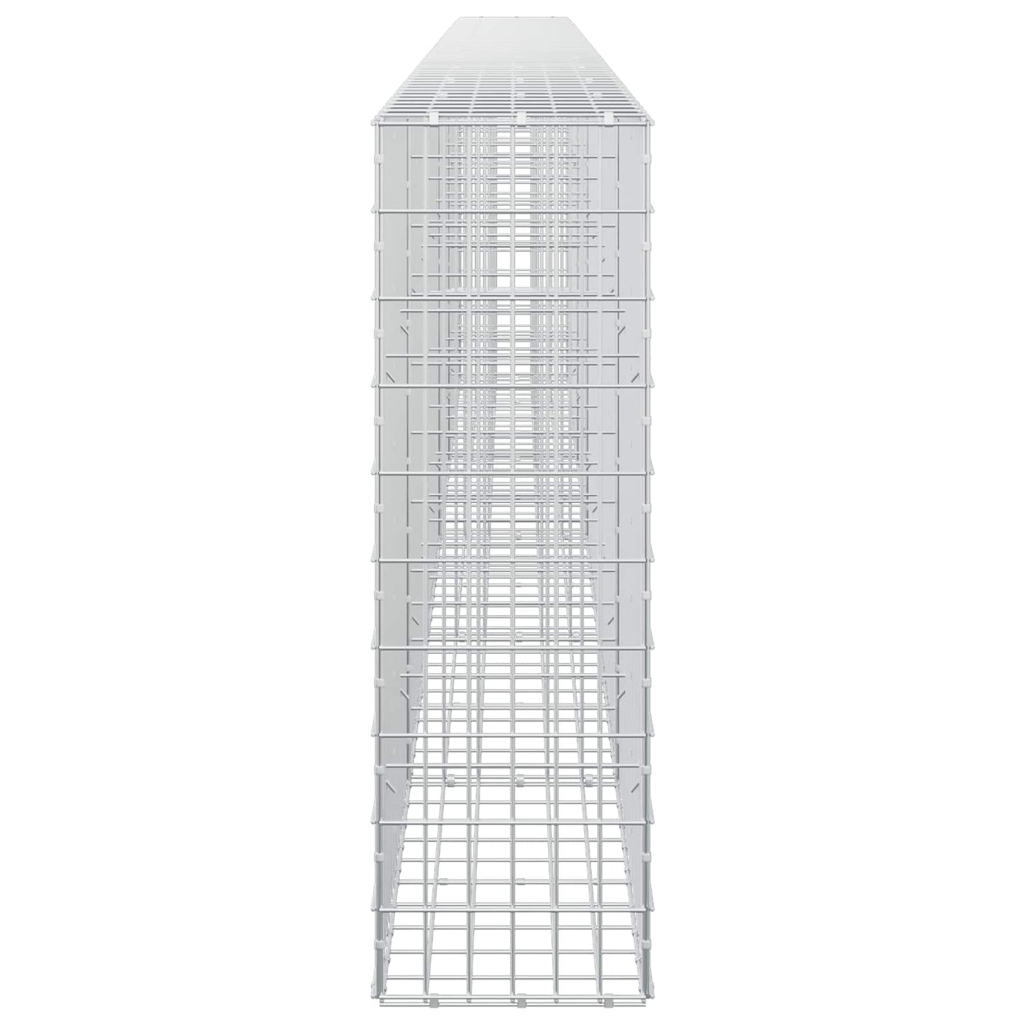 vidaXL Γκαμπιόν με σύρμα 5 mm και πλέγμα 5x10 cm 550x30x100 εκ