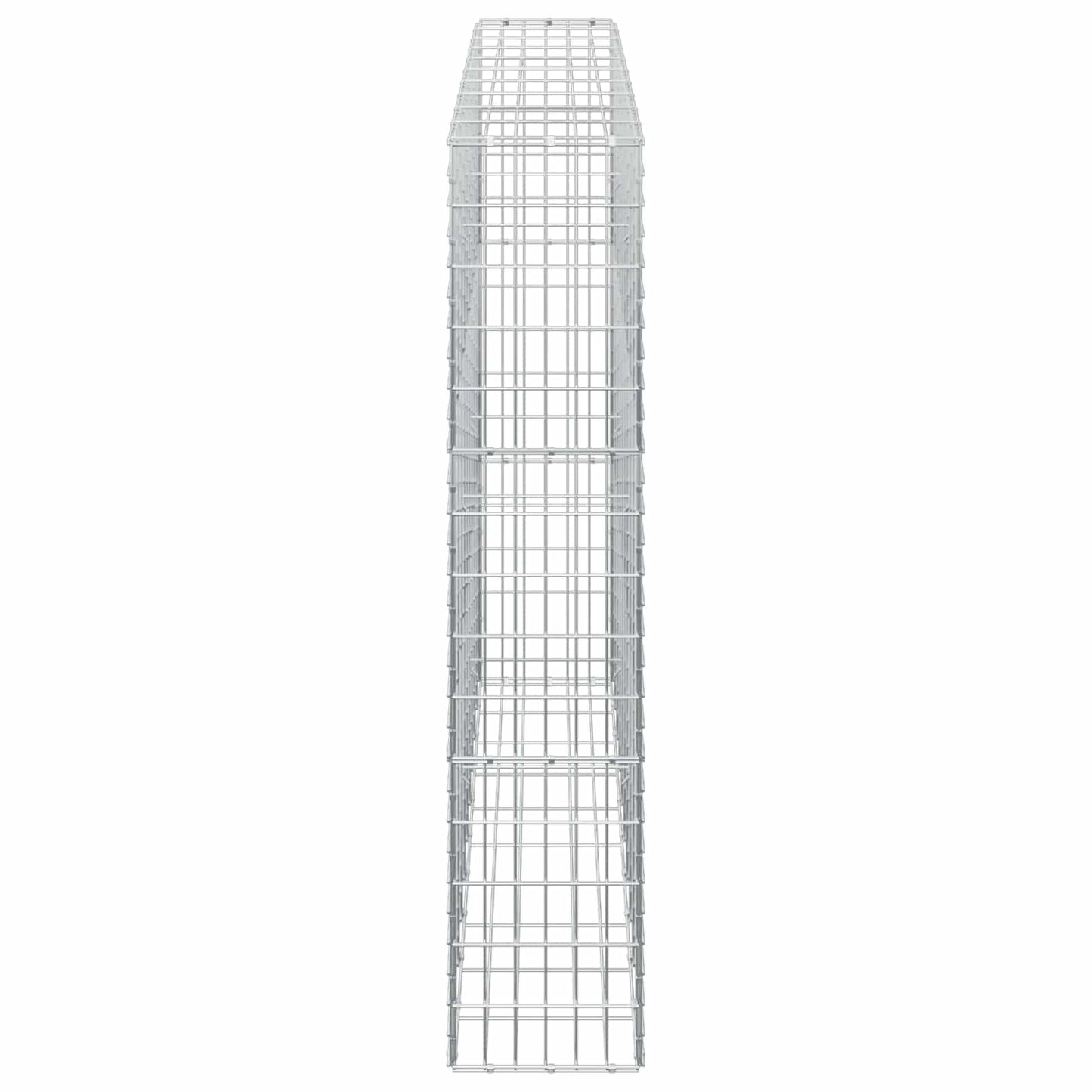 vidaXL Γκαμπιόν με σύρμα 5 mm και πλέγμα 5x10 cm 100x30x150 εκ