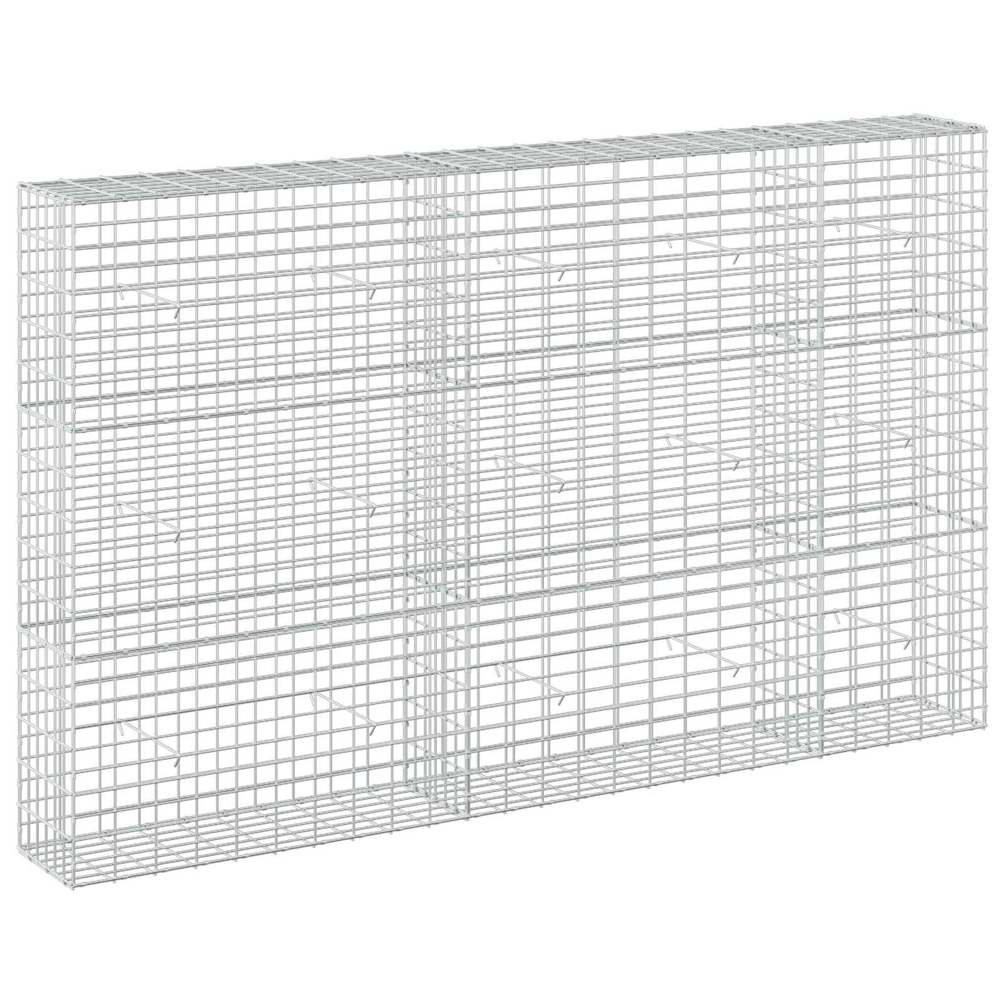 vidaXL Γκαμπιόν με σύρμα 5 mm και πλέγμα 5x10 cm 250x30x150 εκ