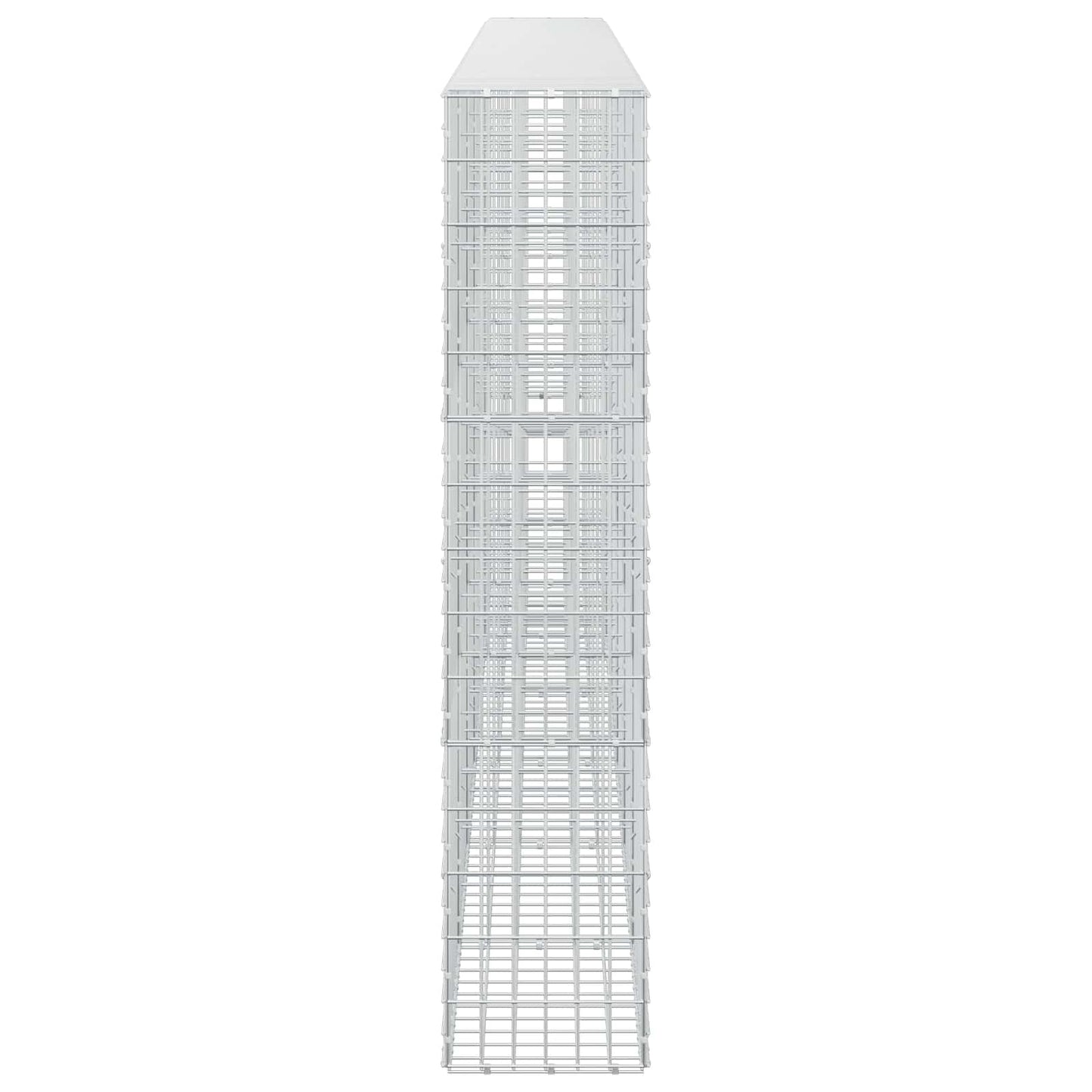 vidaXL Γκαμπιόν με σύρμα 5 mm και πλέγμα 5x10 cm 600x30x150 εκ