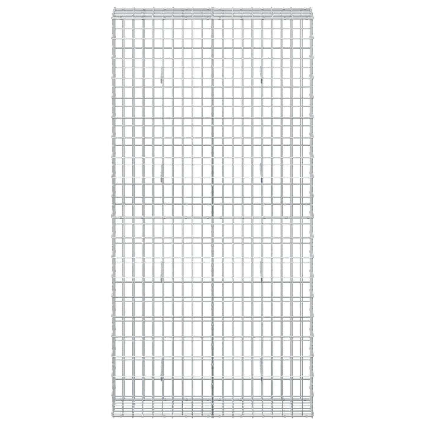vidaXL Γκαμπιόν με σύρμα 5 mm και πλέγμα 5x10 cm 100x30x200 εκ.