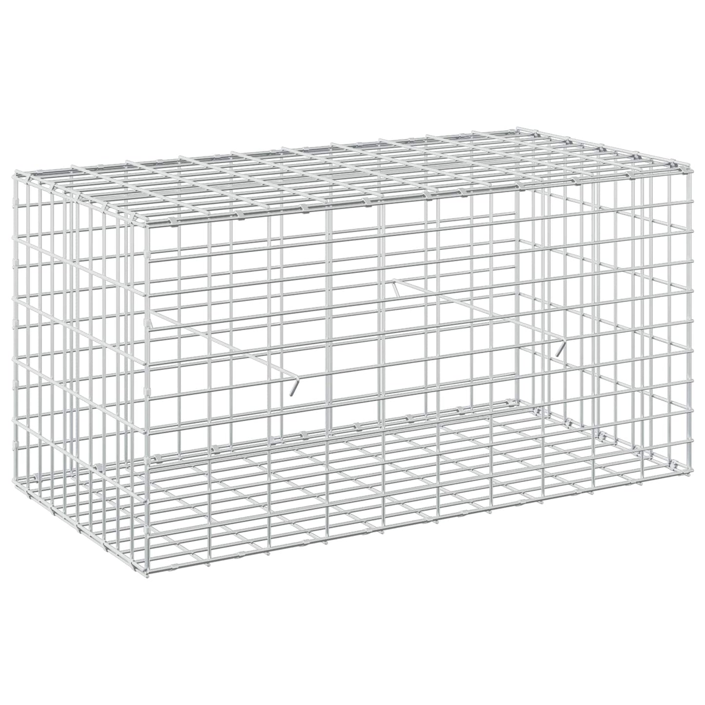 vidaXL Γκαμπιόν με σύρμα 5 mm και πλέγμα 5x10 cm 100x50x50 εκ