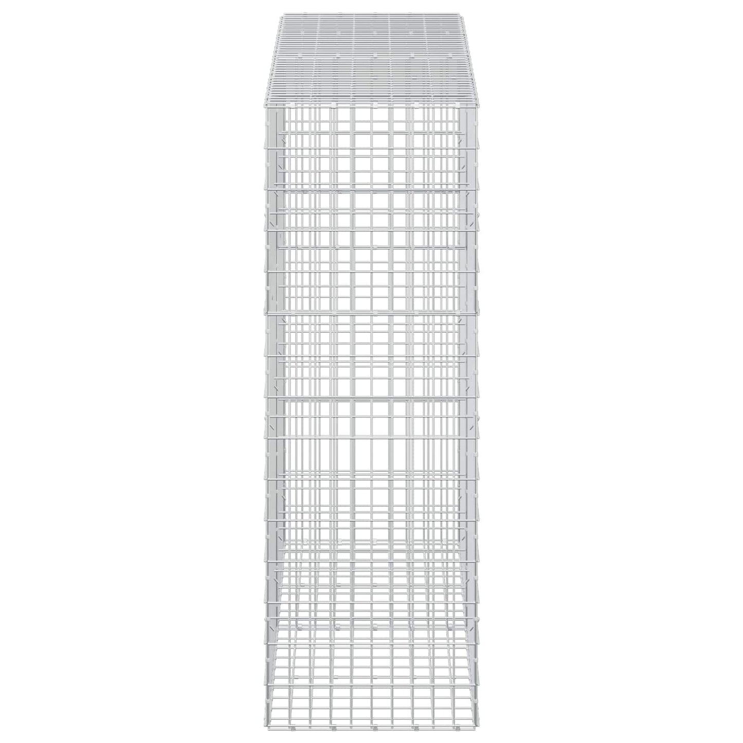 vidaXL Γκαμπιόν με σύρμα 5 mm και πλέγμα 5x10 cm 200x50x150 εκ