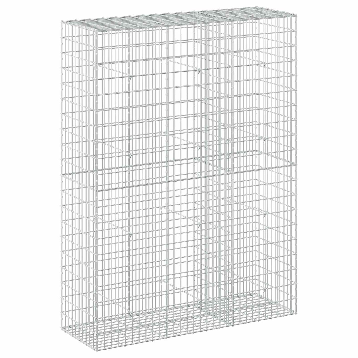 vidaXL Γκαμπιόν με σύρμα 5 mm και πλέγμα 5x10 cm 150x50x200 εκ