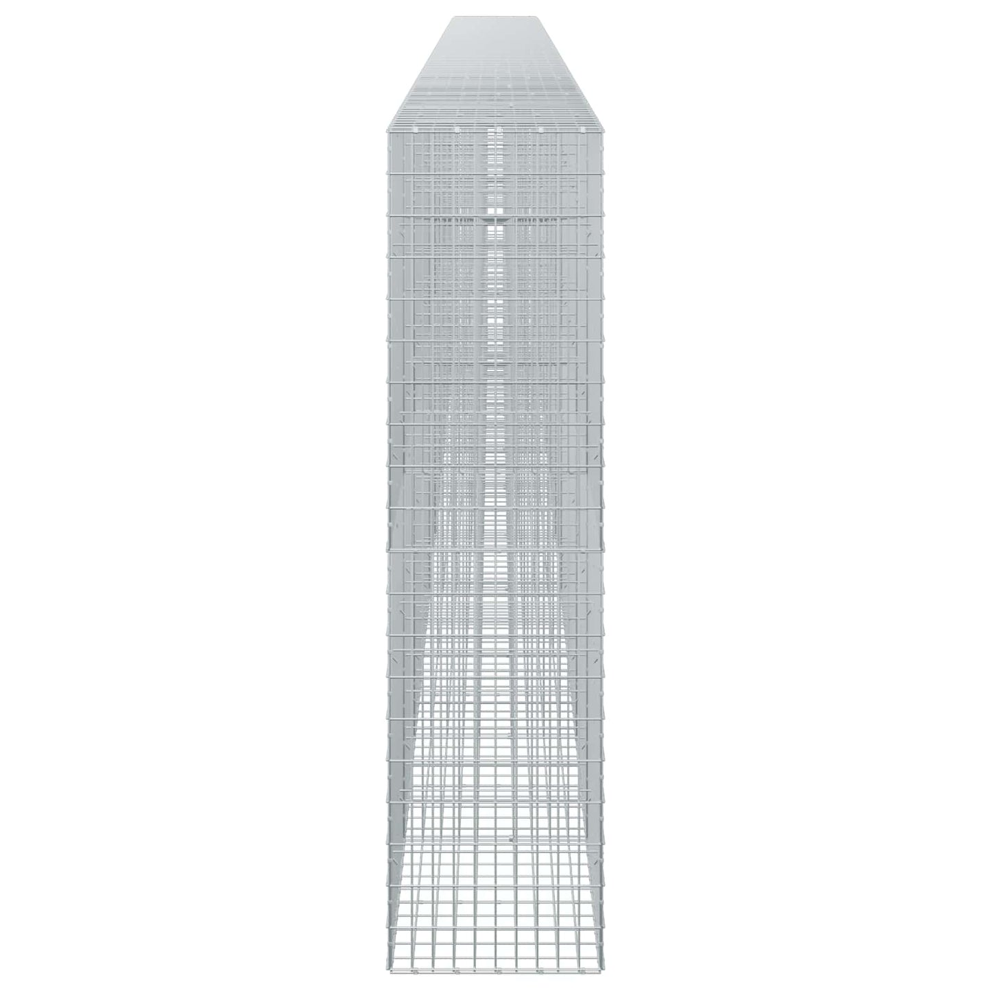 vidaXL Γκαμπιόν με σύρμα 5 mm και πλέγμα 5x10 cm 1050x50x200 εκ