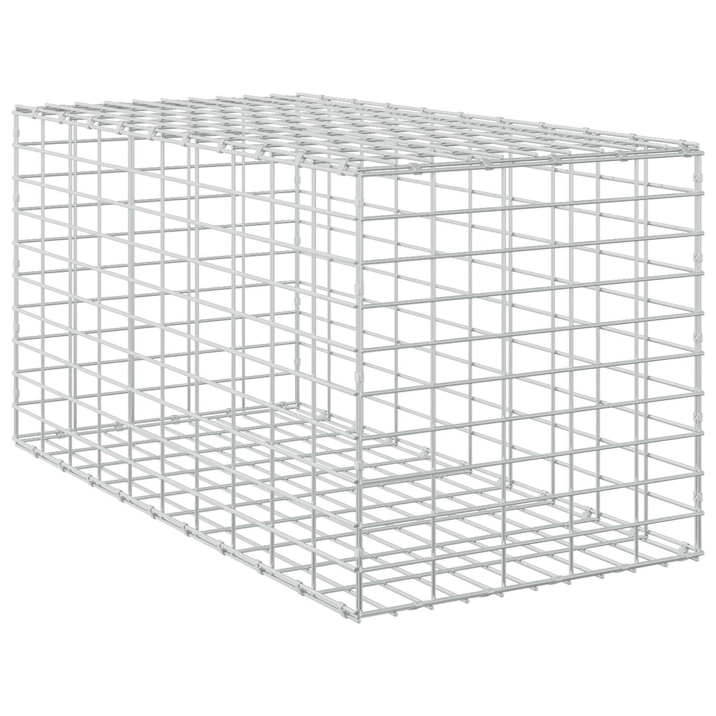 vidaXL Γκαμπιόν με σύρμα 5 mm και πλέγμα 5x10 cm 50x100x50 εκ
