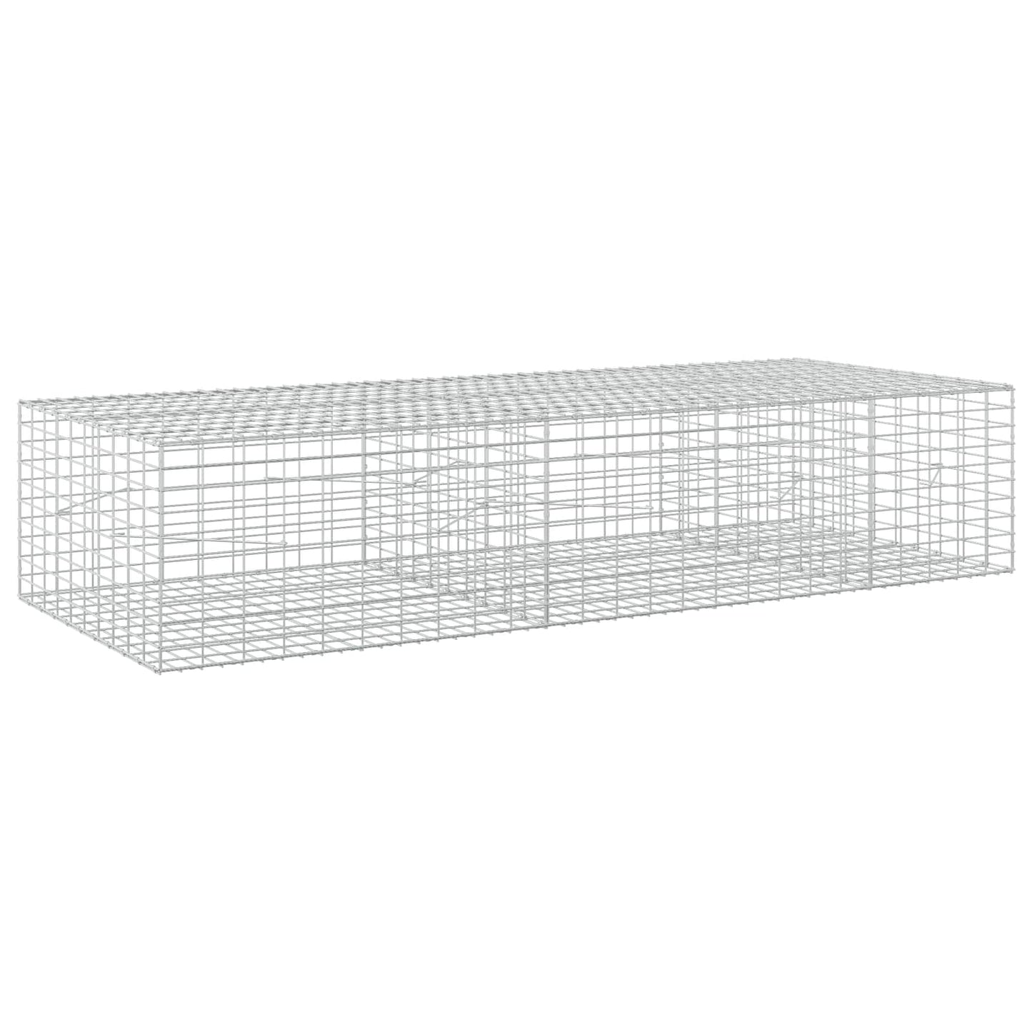 vidaXL Γκαμπιόν με σύρμα 5 mm και πλέγμα 5x10 cm 250x100x50 εκ.