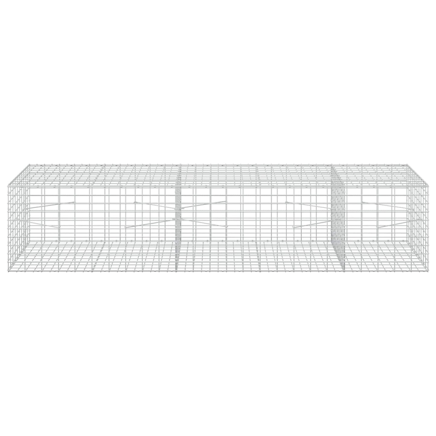 vidaXL Γκαμπιόν με σύρμα 5 mm και πλέγμα 5x10 cm 250x100x50 εκ.