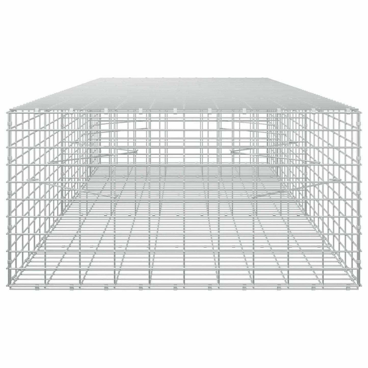 vidaXL Γκαμπιόν με σύρμα 5 mm και πλέγμα 5x10 cm 250x100x50 εκ.
