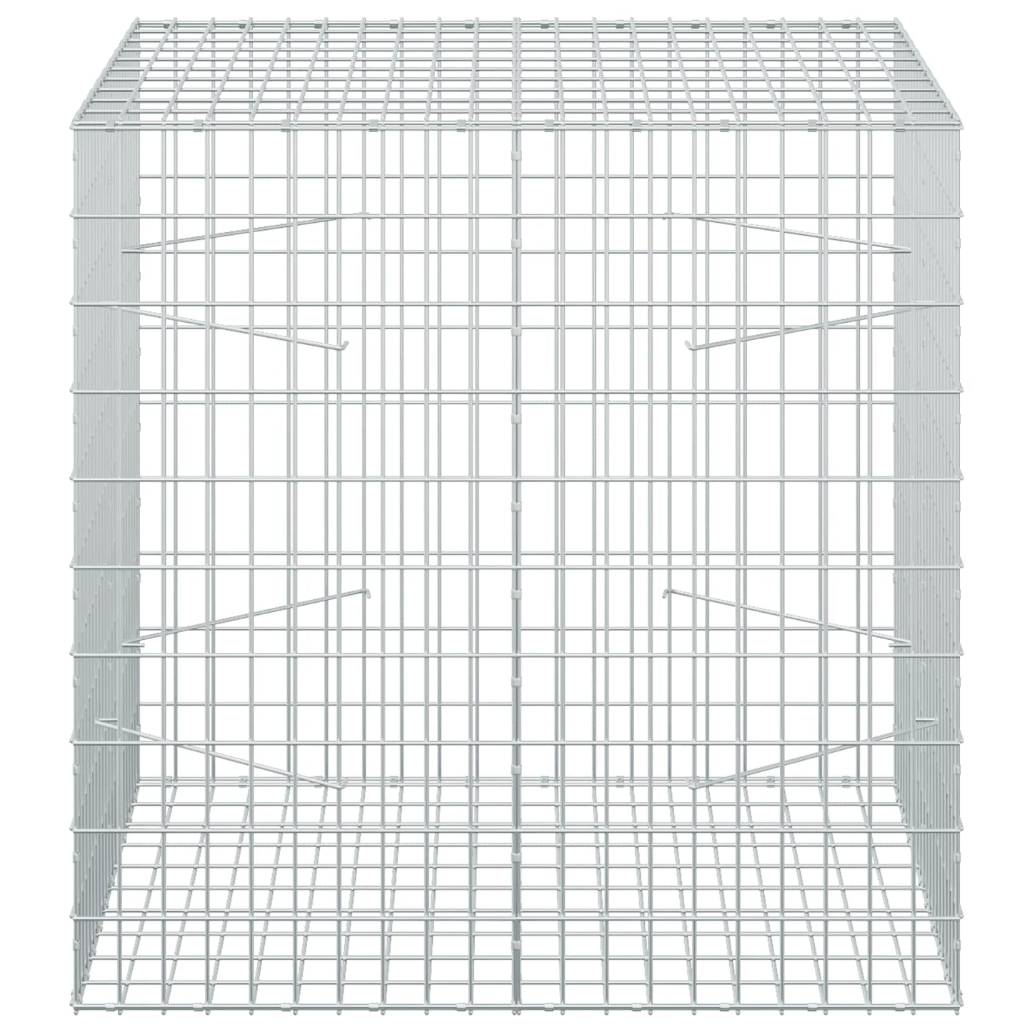 vidaXL Γκαμπιόν με σύρμα 5 mm και πλέγμα 5x10 cm 100x100x100 εκ.