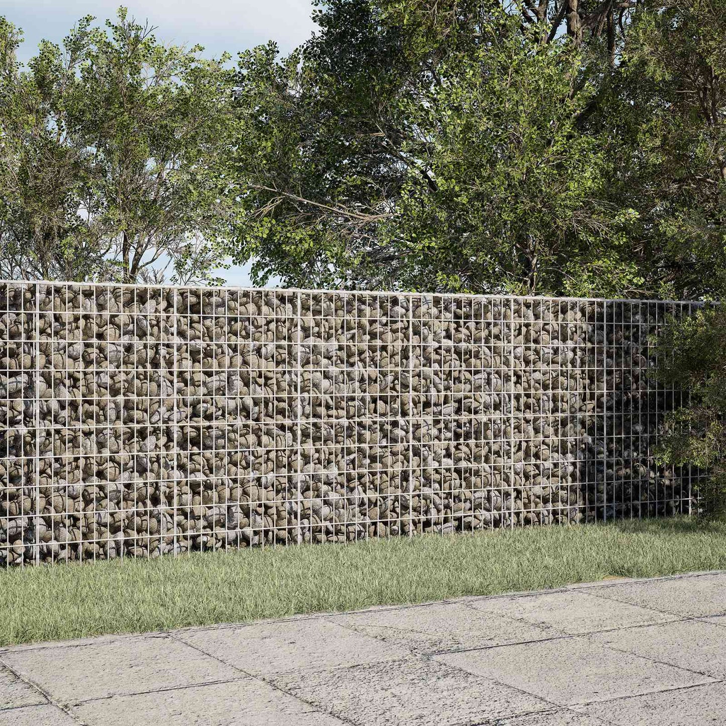 vidaXL Γκαμπιόν με σύρμα 5 mm και πλέγμα 5x10 cm 200x100x100 εκ.