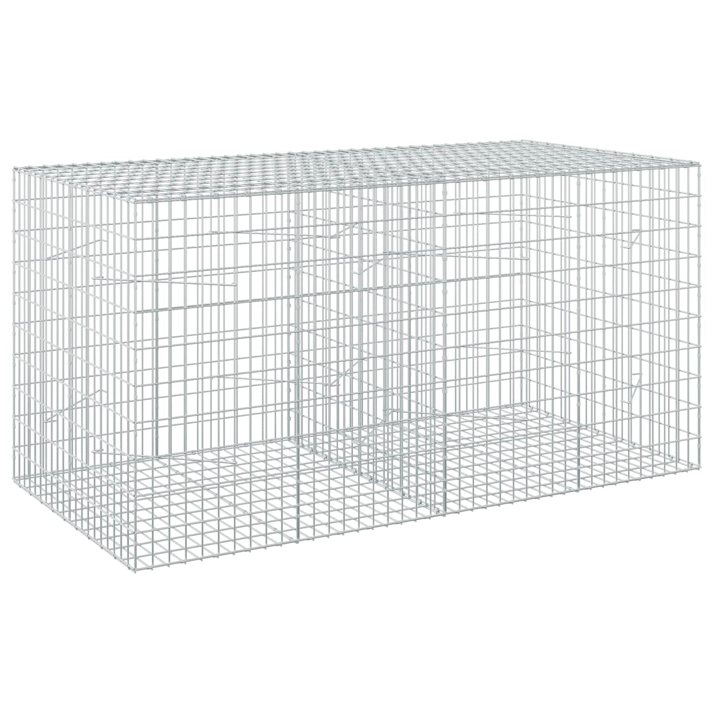 vidaXL Γκαμπιόν με σύρμα 5 mm και πλέγμα 5x10 cm 200x100x100 εκ.