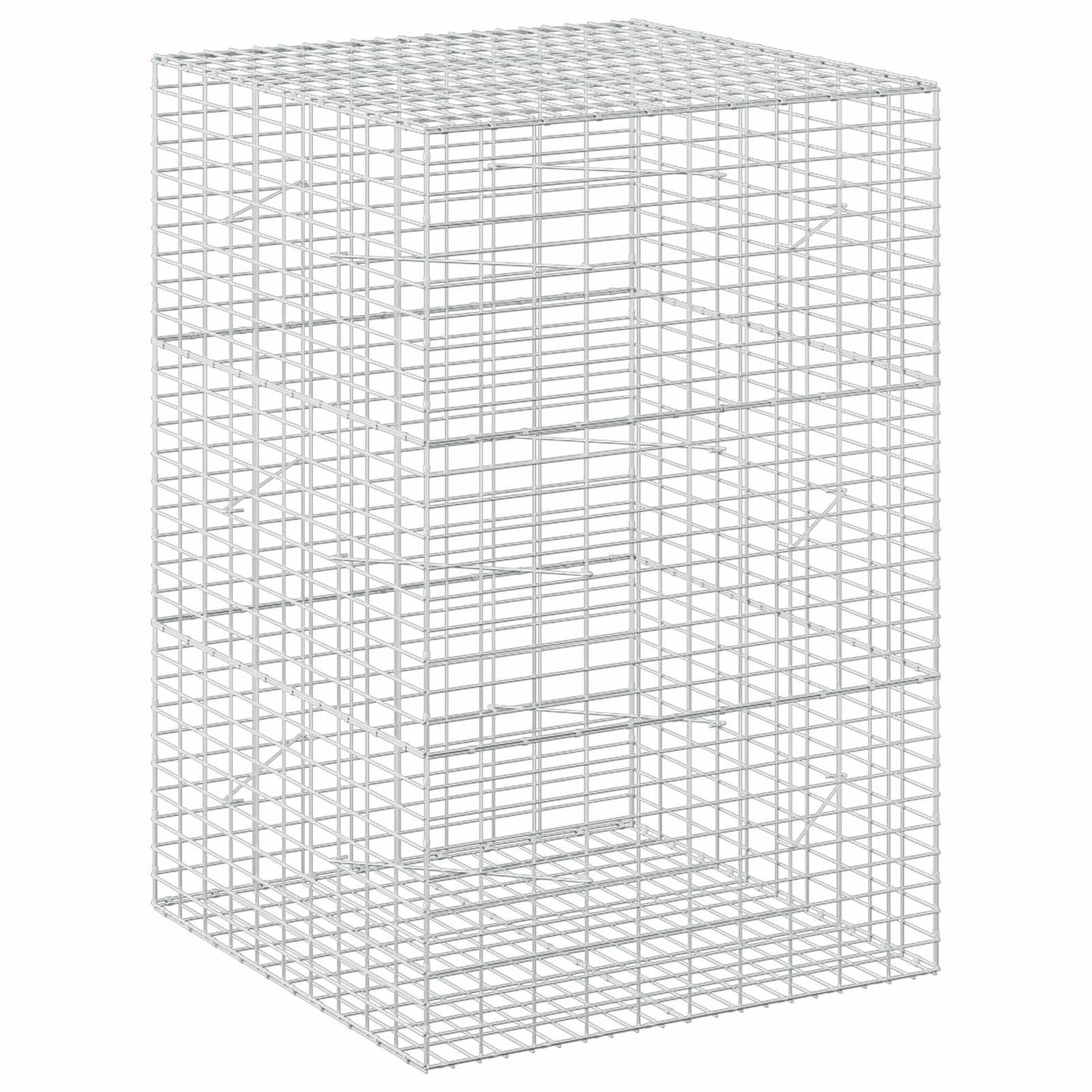 vidaXL Γκαμπιόν με σύρμα 5 mm και πλέγμα 5x10 cm 100x100x150 εκ