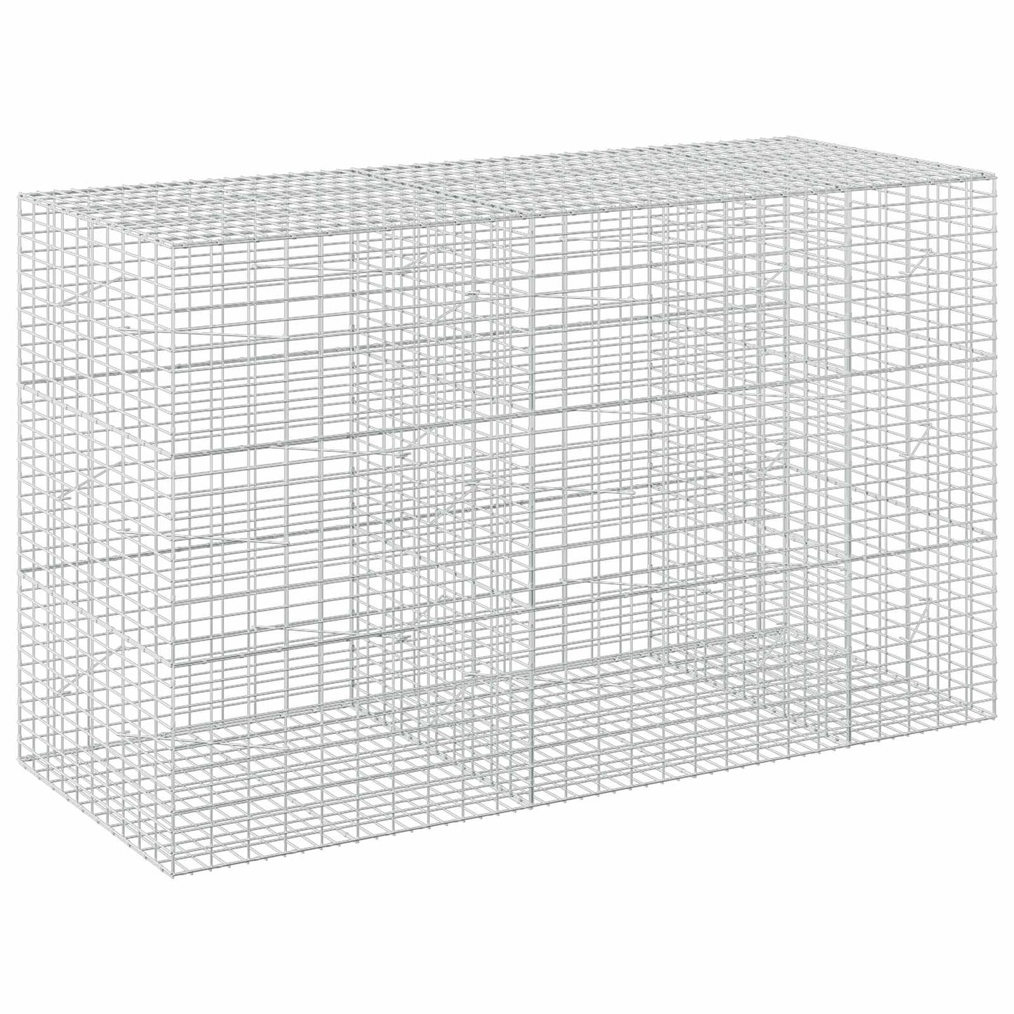 vidaXL Γκαμπιόν με σύρμα 5 mm και πλέγμα 5x10 cm 250x100x150 εκ.