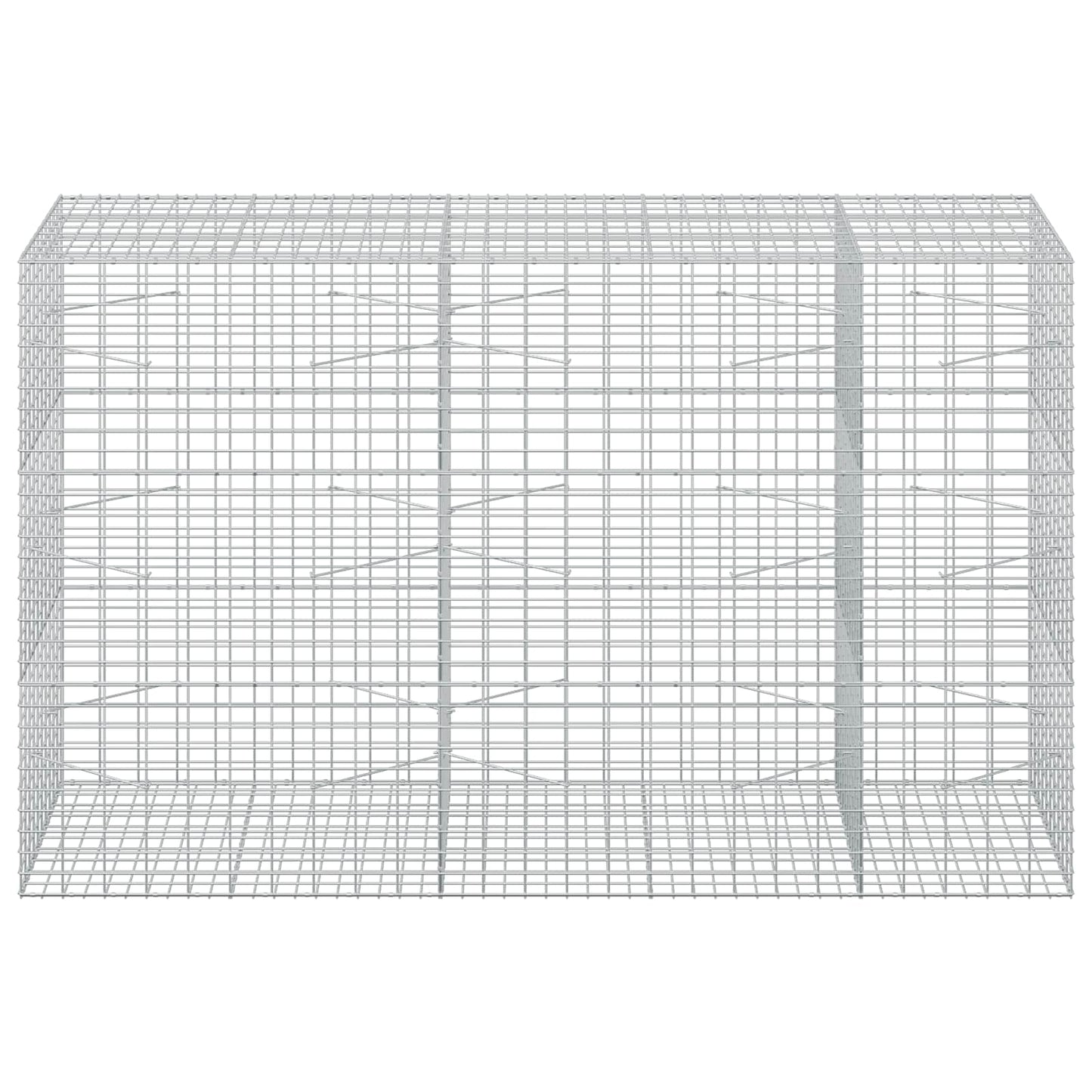 vidaXL Γκαμπιόν με σύρμα 5 mm και πλέγμα 5x10 cm 250x100x150 εκ.