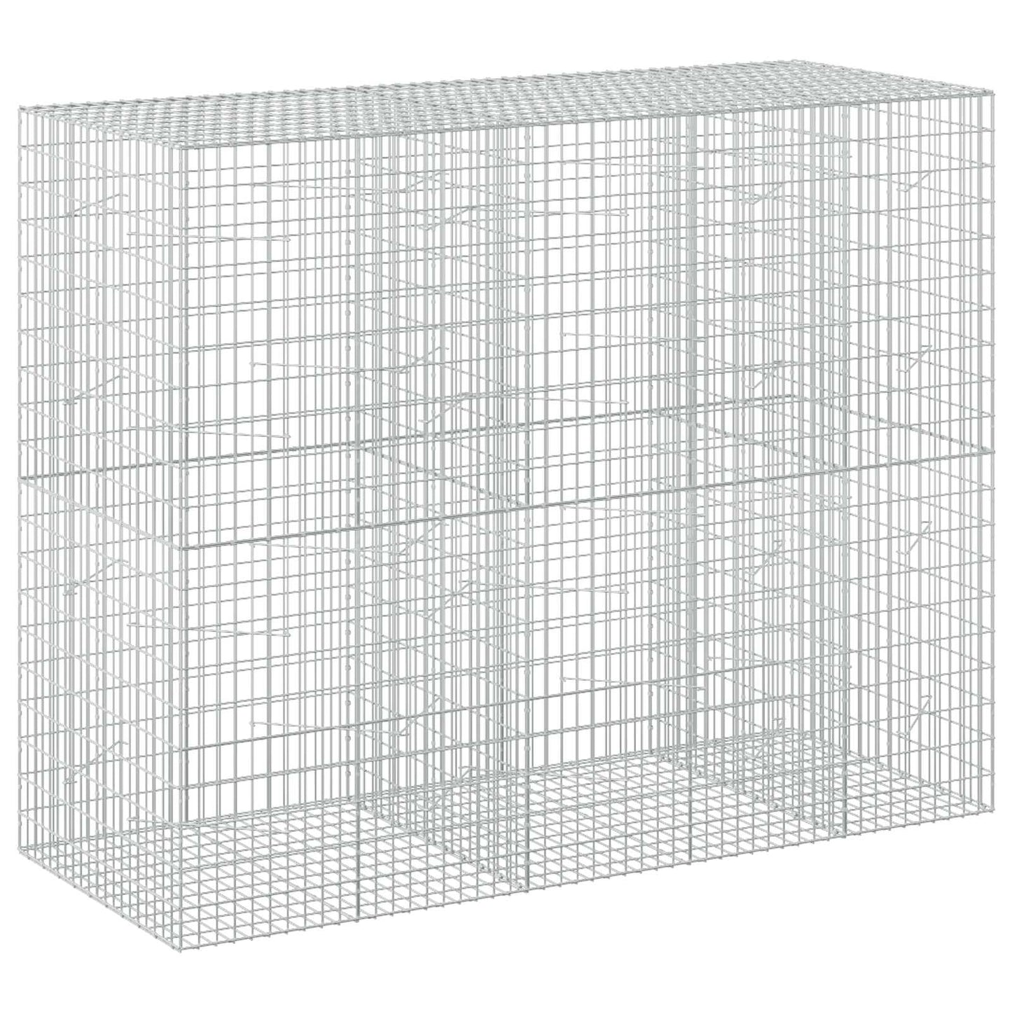 vidaXL Γκαμπιόν με σύρμα 5 mm και πλέγμα 5x10 cm 250x100x200 εκ.