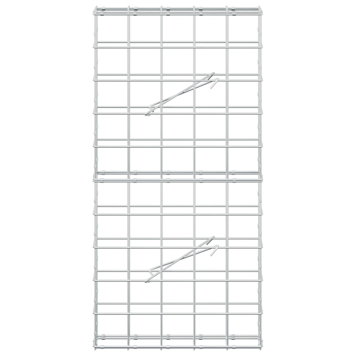 vidaXL Γκαμπιόν με σύρμα 5 mm και πλέγμα 10x10 cm 50x10x100 εκ