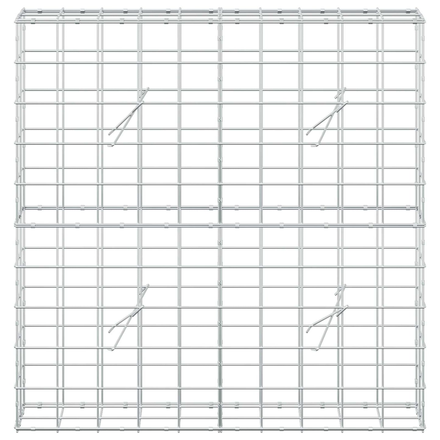 vidaXL Γκαμπιόν με σύρμα 5 mm και πλέγμα 10x10 cm 100x20x100 εκ.