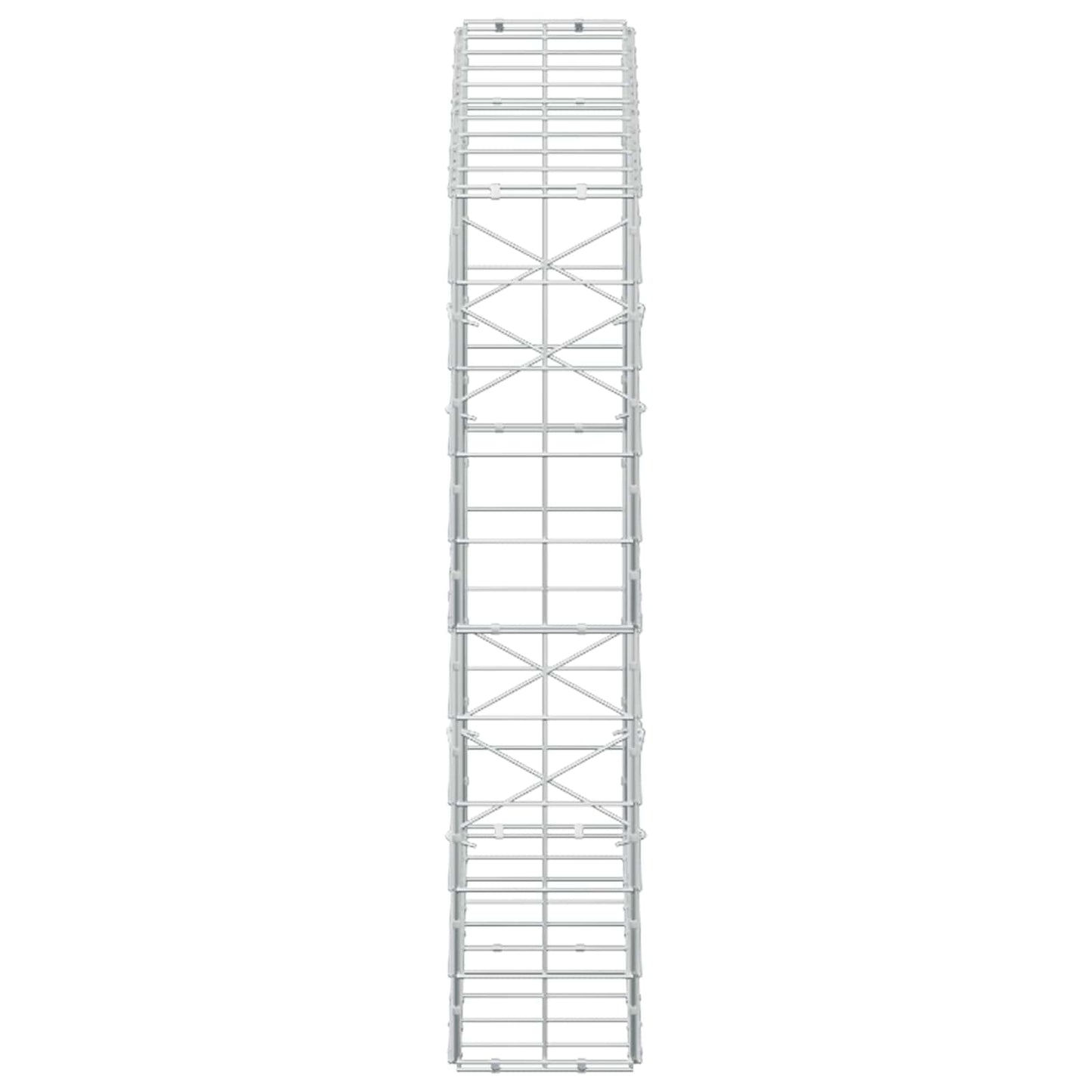 vidaXL Γκαμπιόν με σύρμα 5 mm και πλέγμα 10x10 cm 100x20x100 εκ.