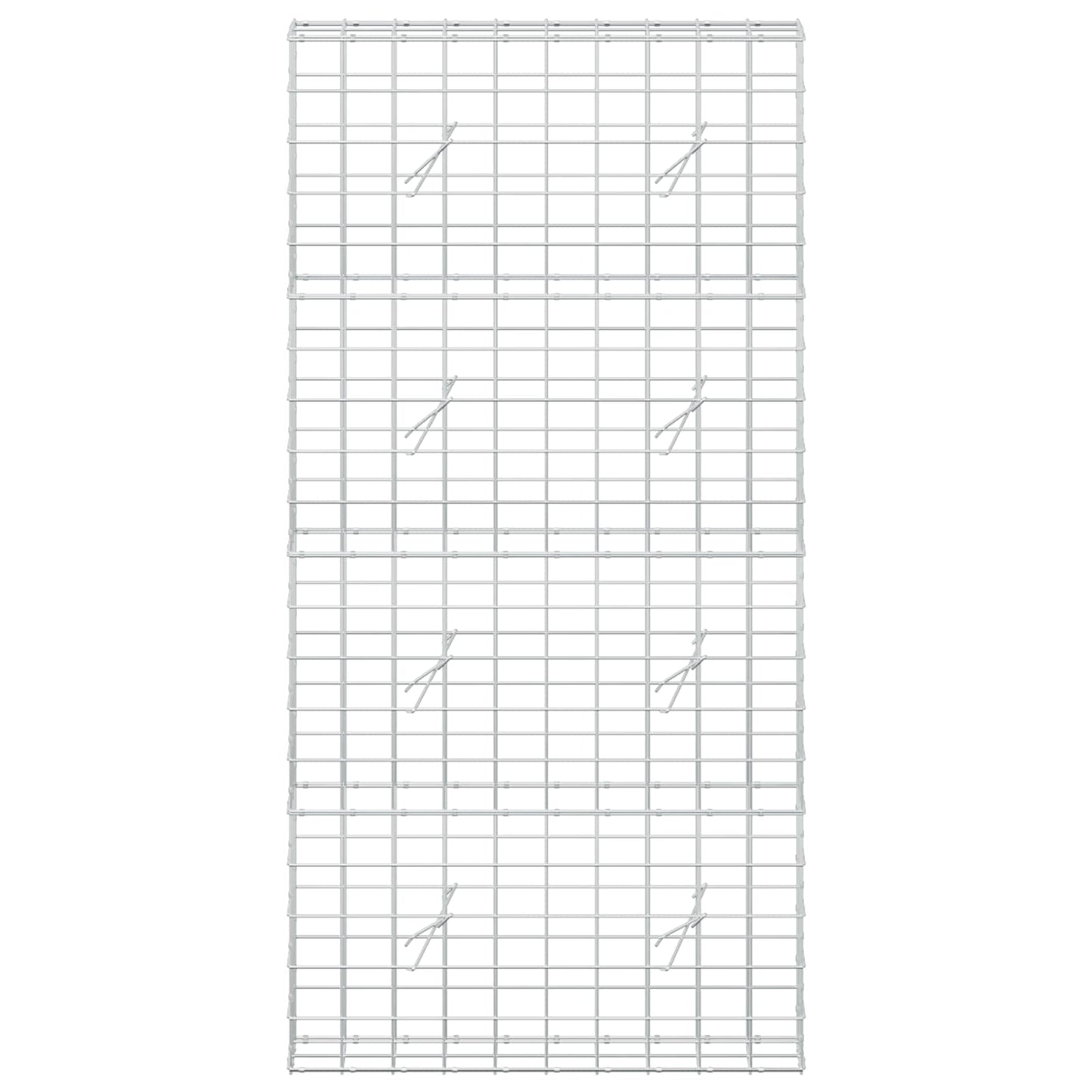 vidaXL Γκαμπιόν με σύρμα 5 mm και πλέγμα 10x10 cm 100x20x200 εκ