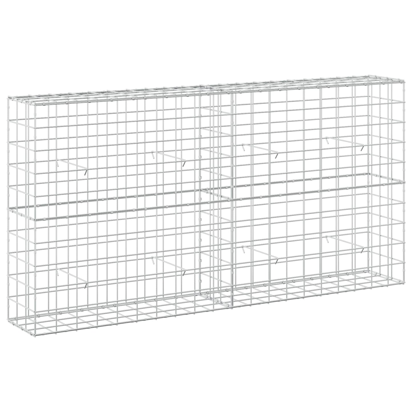 vidaXL Γκαμπιόν με σύρμα 5 mm και πλέγμα 10x10 cm 200x30x100 εκ