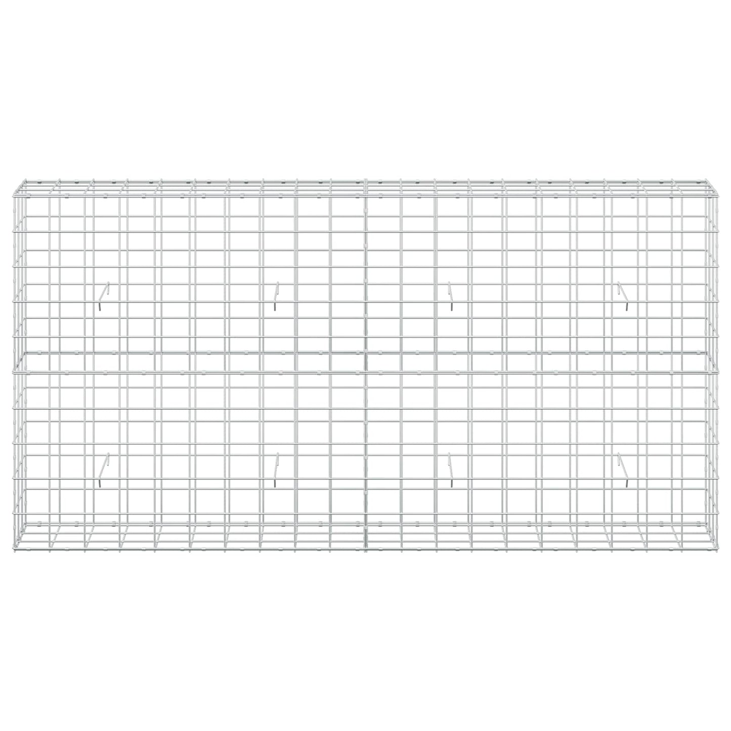 vidaXL Γκαμπιόν με σύρμα 5 mm και πλέγμα 10x10 cm 200x30x100 εκ