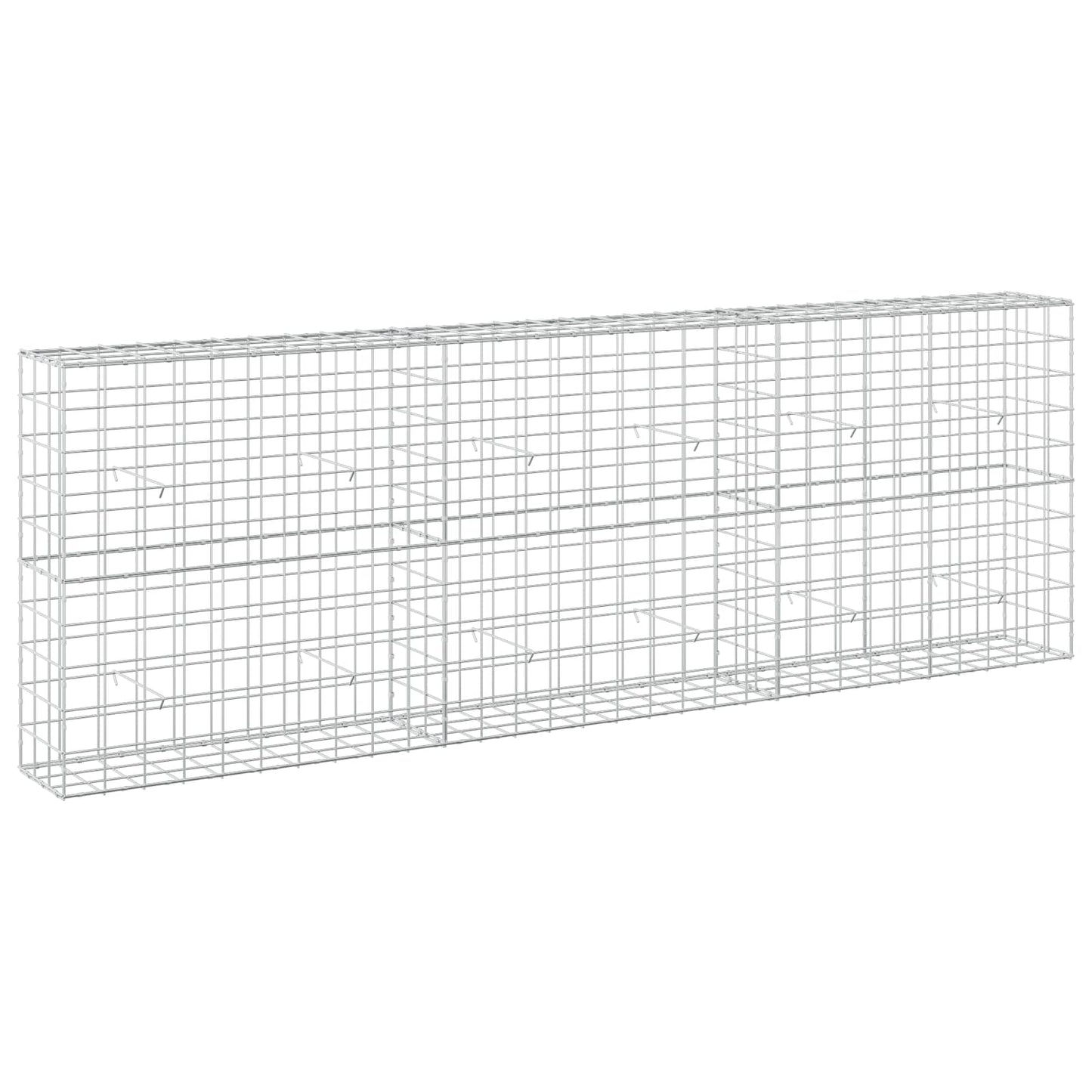 vidaXL Γκαμπιόν με σύρμα 5 mm και πλέγμα 10x10 cm 300x30x100 εκ