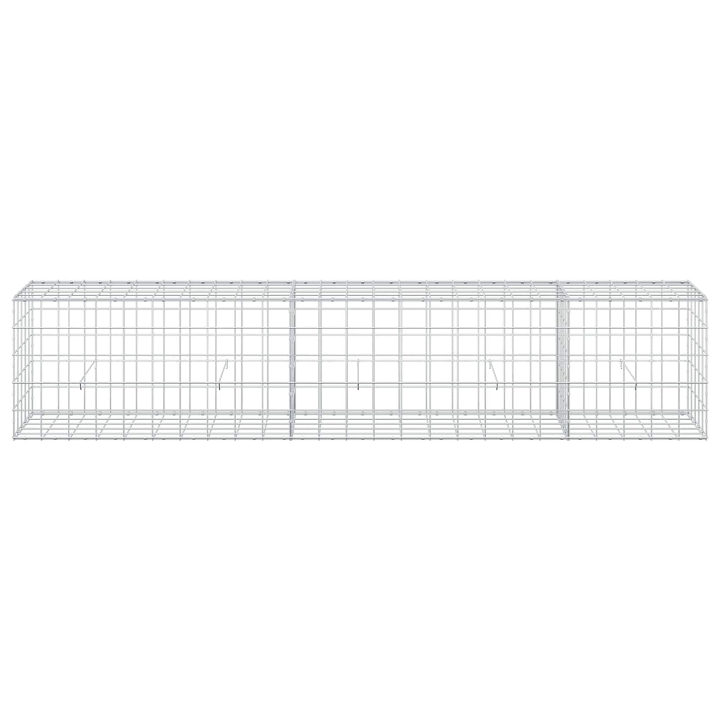 vidaXL Γκαμπιόν με σύρμα 5 mm και πλέγμα 10x10 cm 250x50x50 εκ