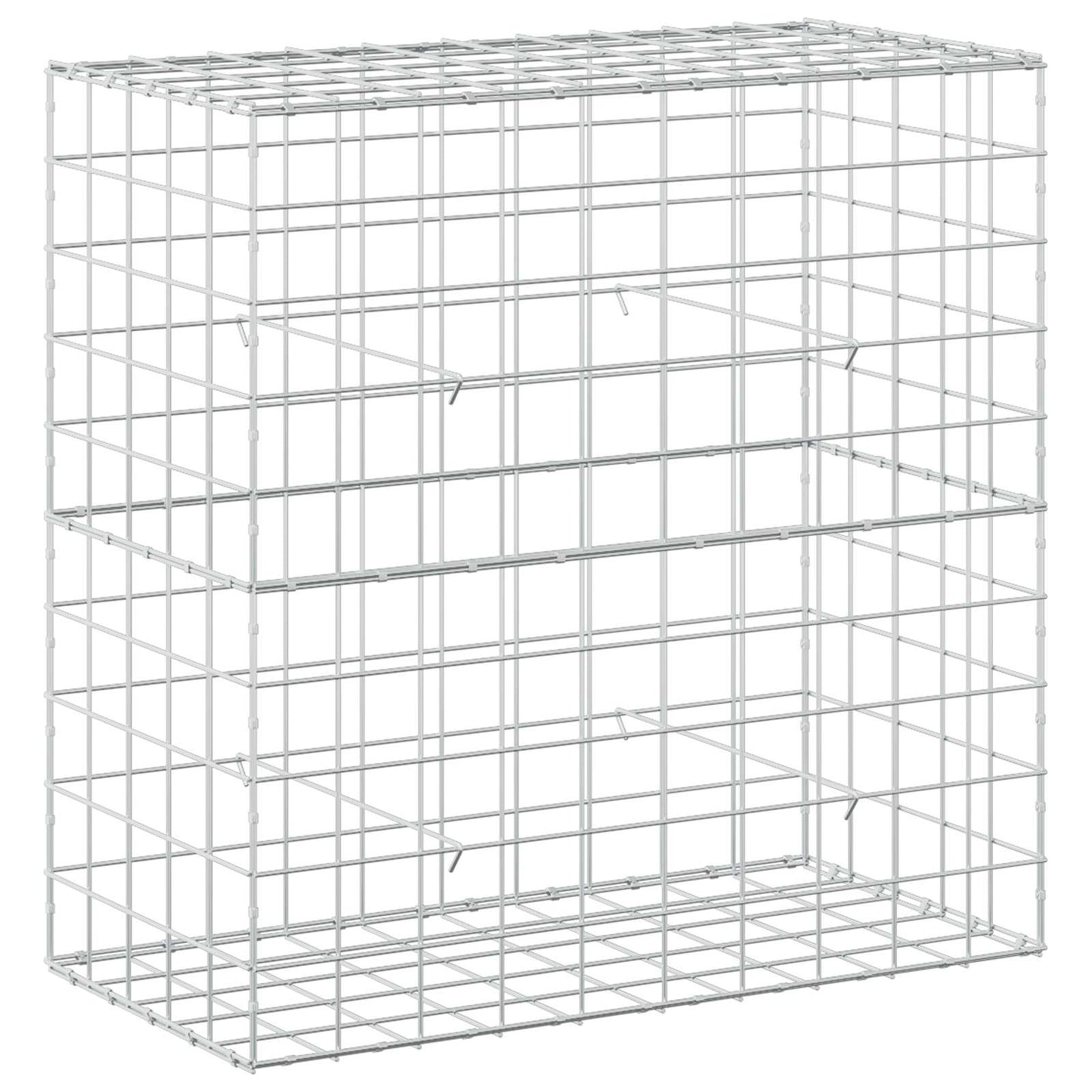 vidaXL Γκαμπιόν με σύρμα 5 mm και πλέγμα 10x10 cm 100x50x100 εκ