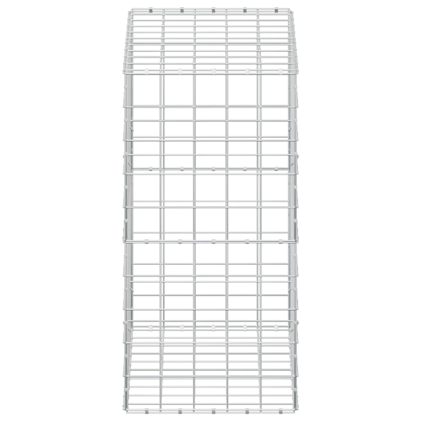 vidaXL Γκαμπιόν με σύρμα 5 mm και πλέγμα 10x10 cm 100x50x100 εκ