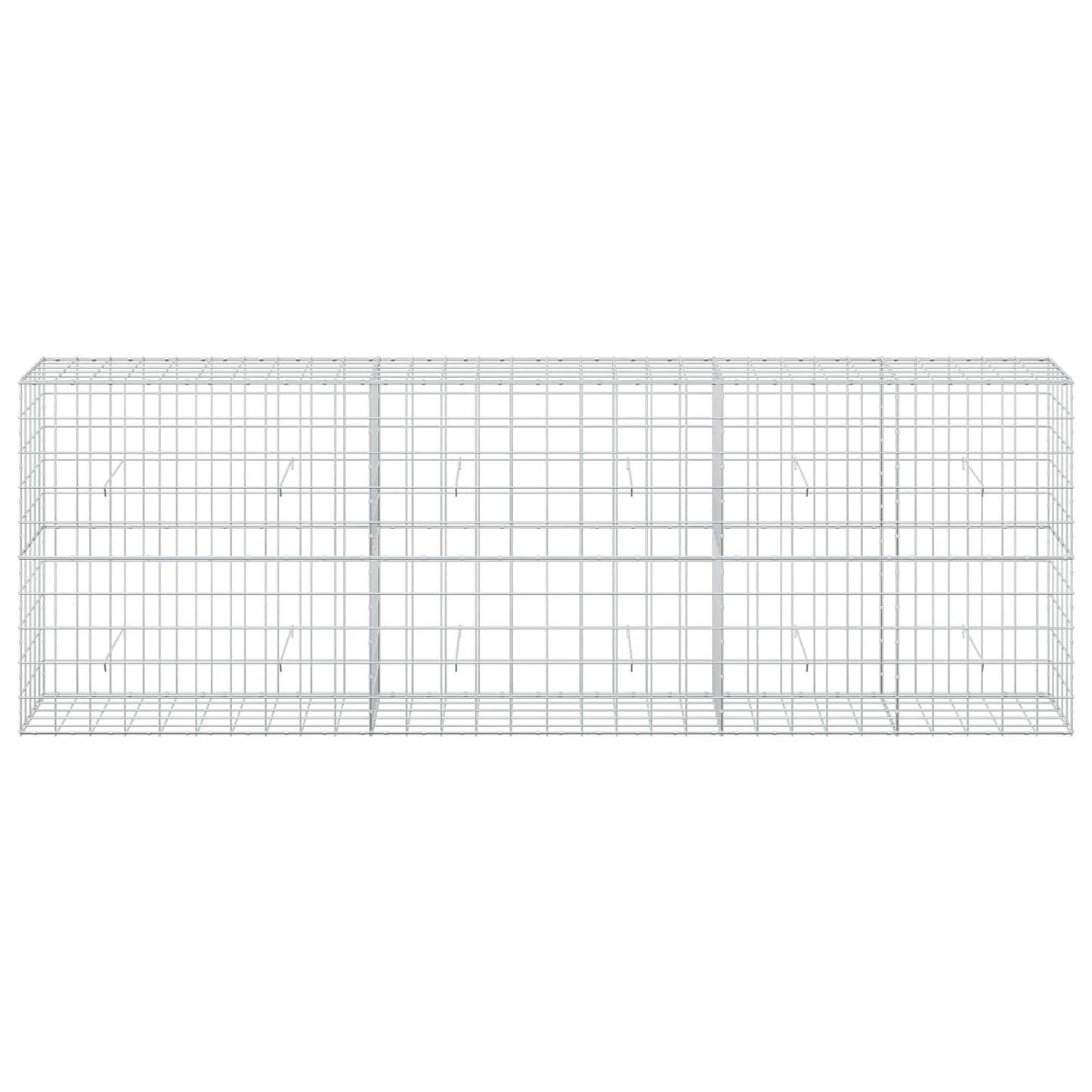vidaXL Γκαμπιόν με σύρμα 5 mm και πλέγμα 10x10 cm 300x50x100 εκ