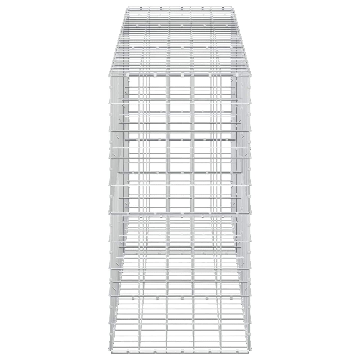 vidaXL Γκαμπιόν με σύρμα 5 mm και πλέγμα 10x10 cm 300x50x100 εκ
